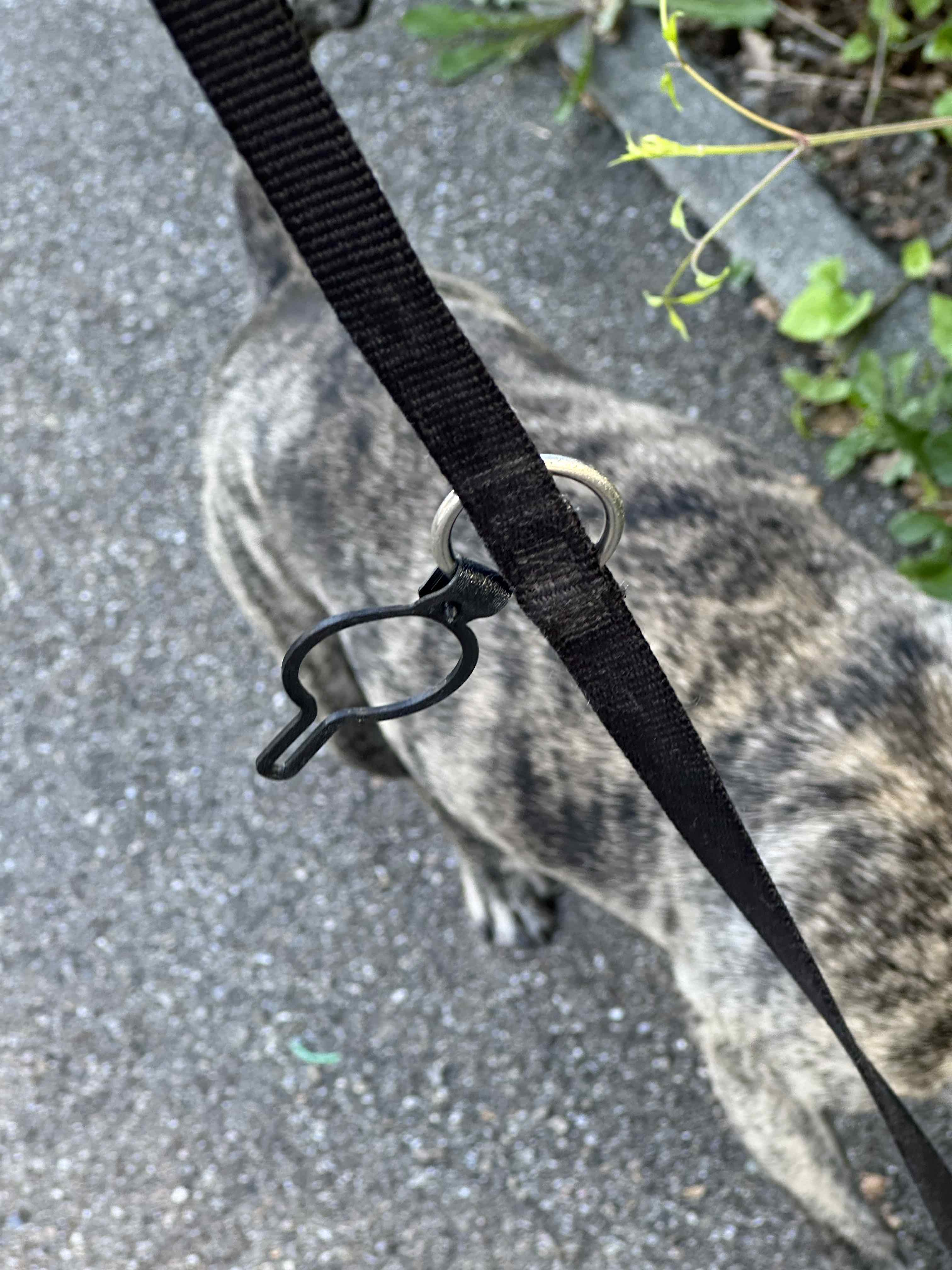 Dog Waste Bag Holder - No accessories needed!
