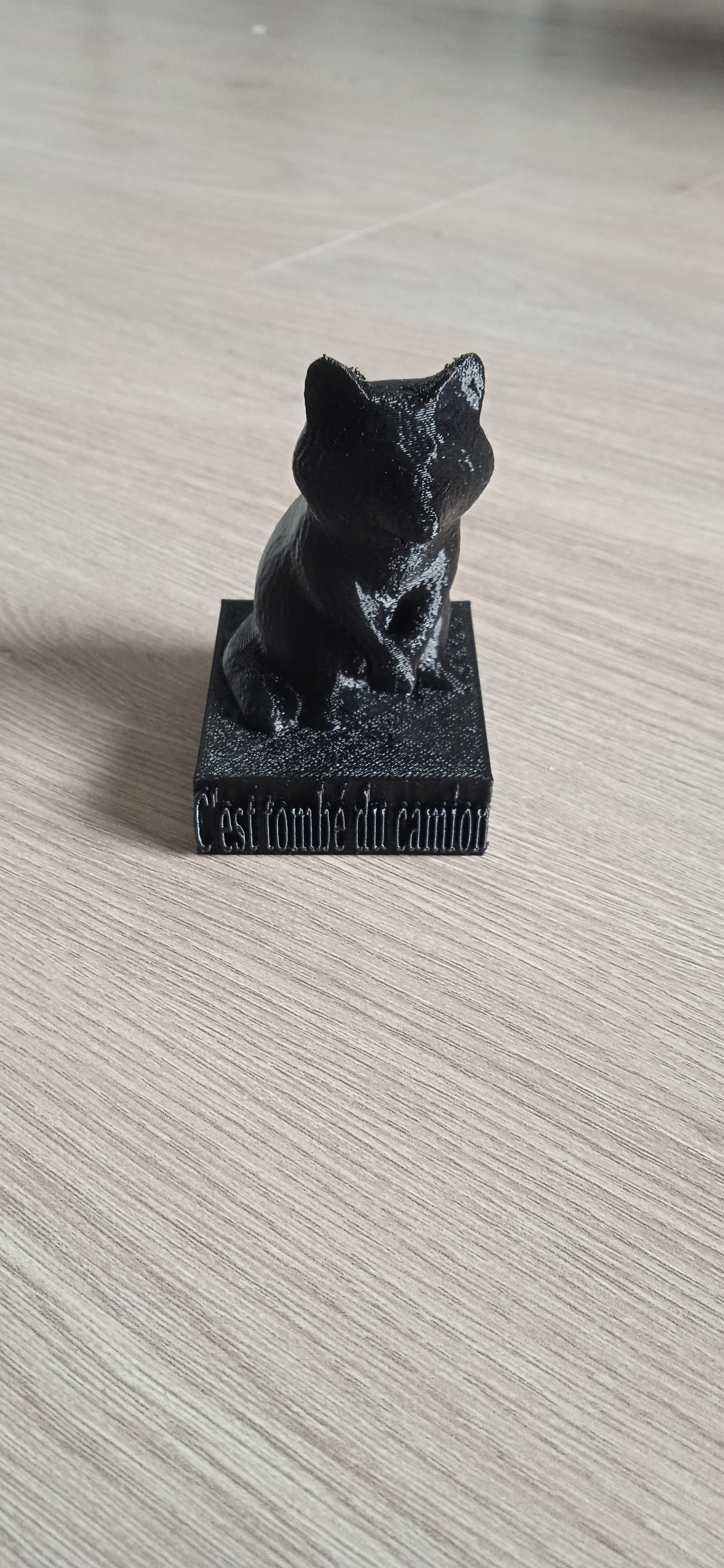 statue de raton laveur "c'est tombé du camion"