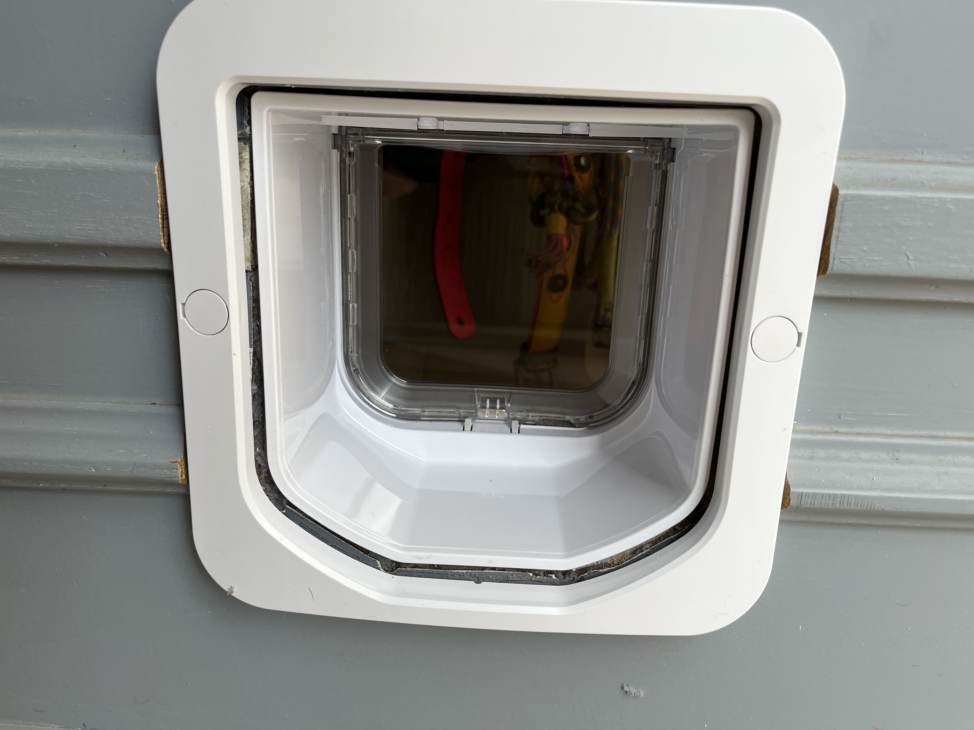 Cat flap tunnel sale