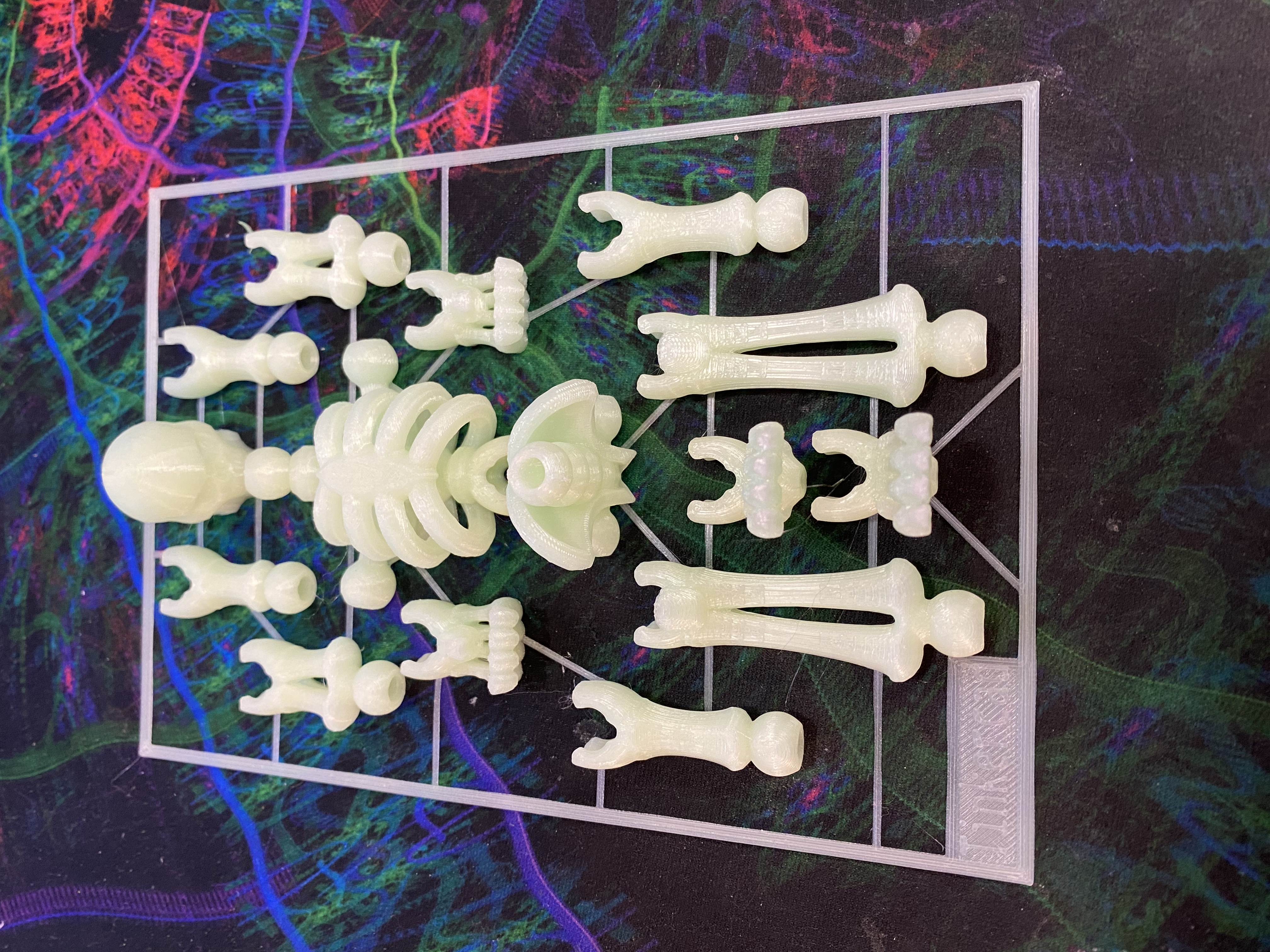 Skeleton Kit Card-Tinkercad