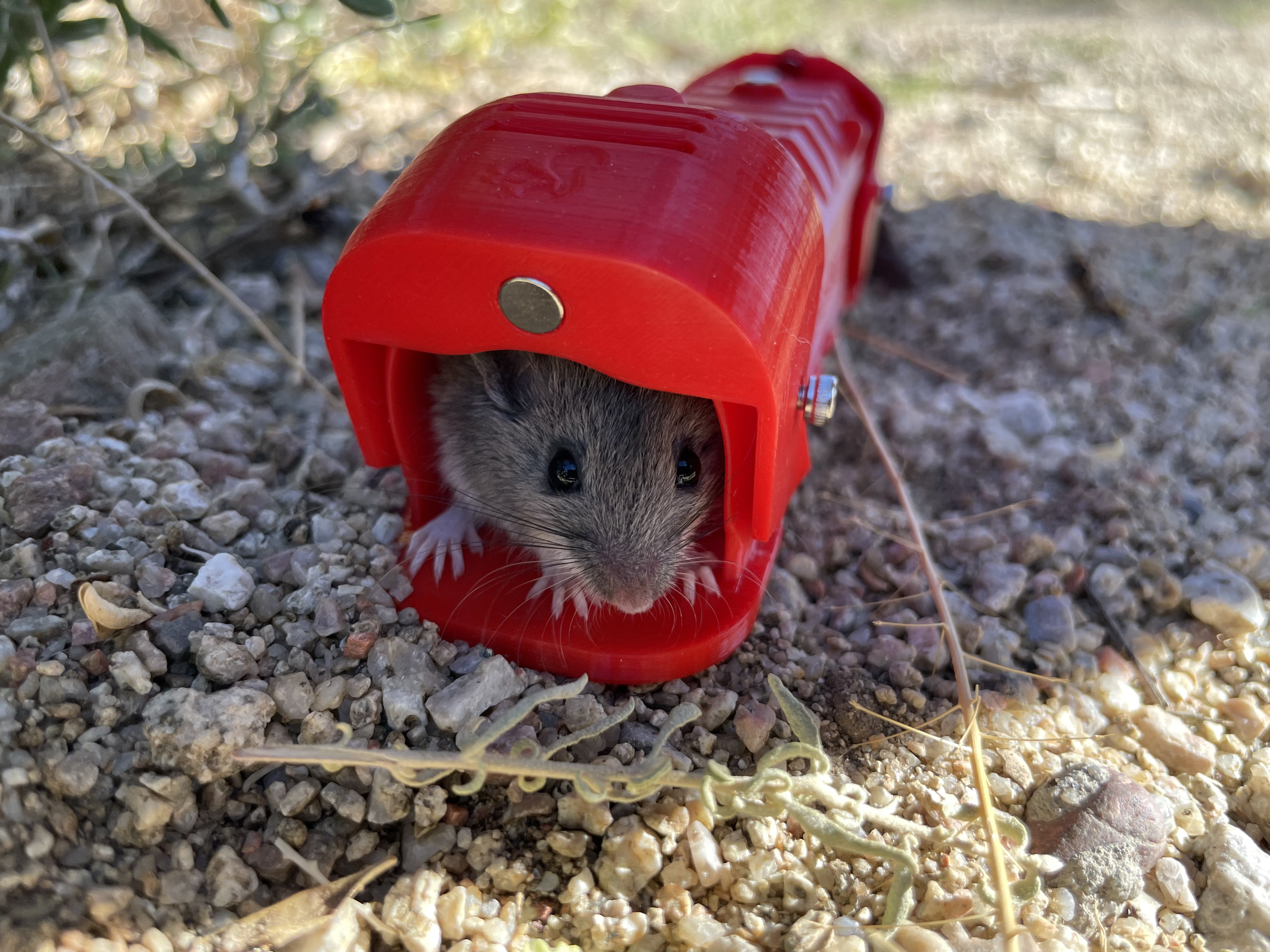 Mouse trap humane for catch and release by squirrelf3d Download free STL model