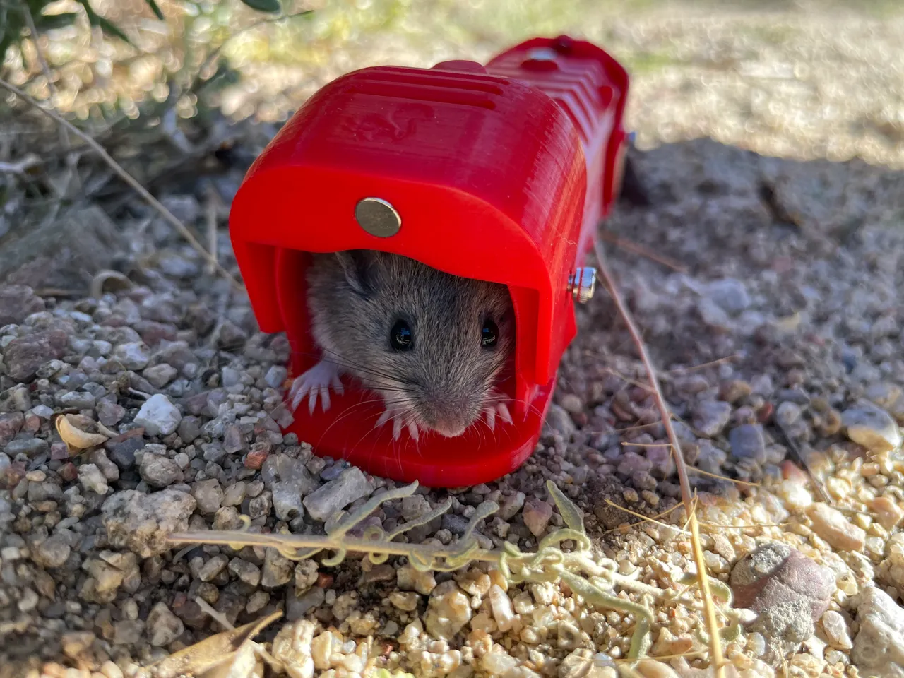 A Great 3D Printed Mouse Trap catches mice in the barn. Mousetrap