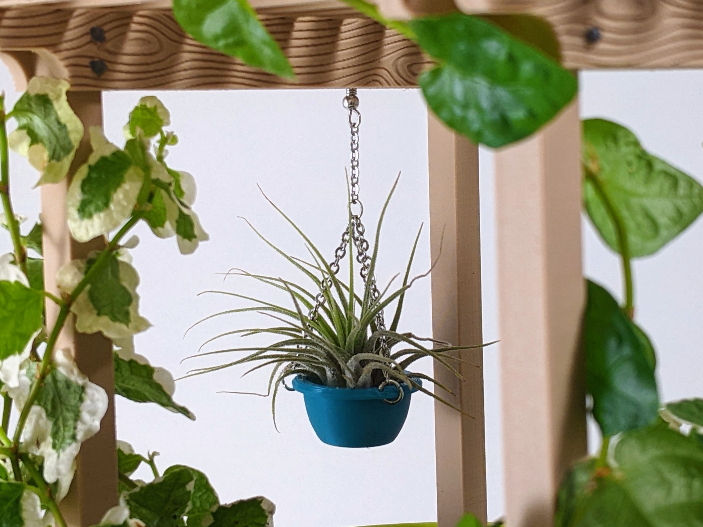 Tiny Hanging Planter for Air Plants