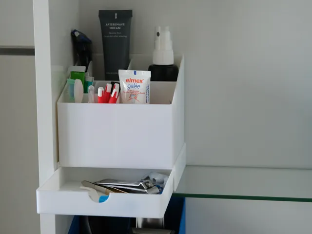 mini organizer for bathroom mirror cabinet