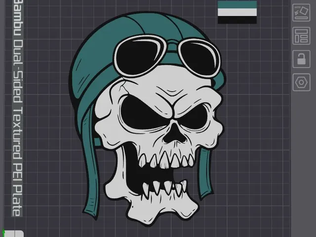HD Skull Pilot