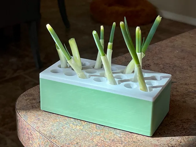 Onion sprouting box