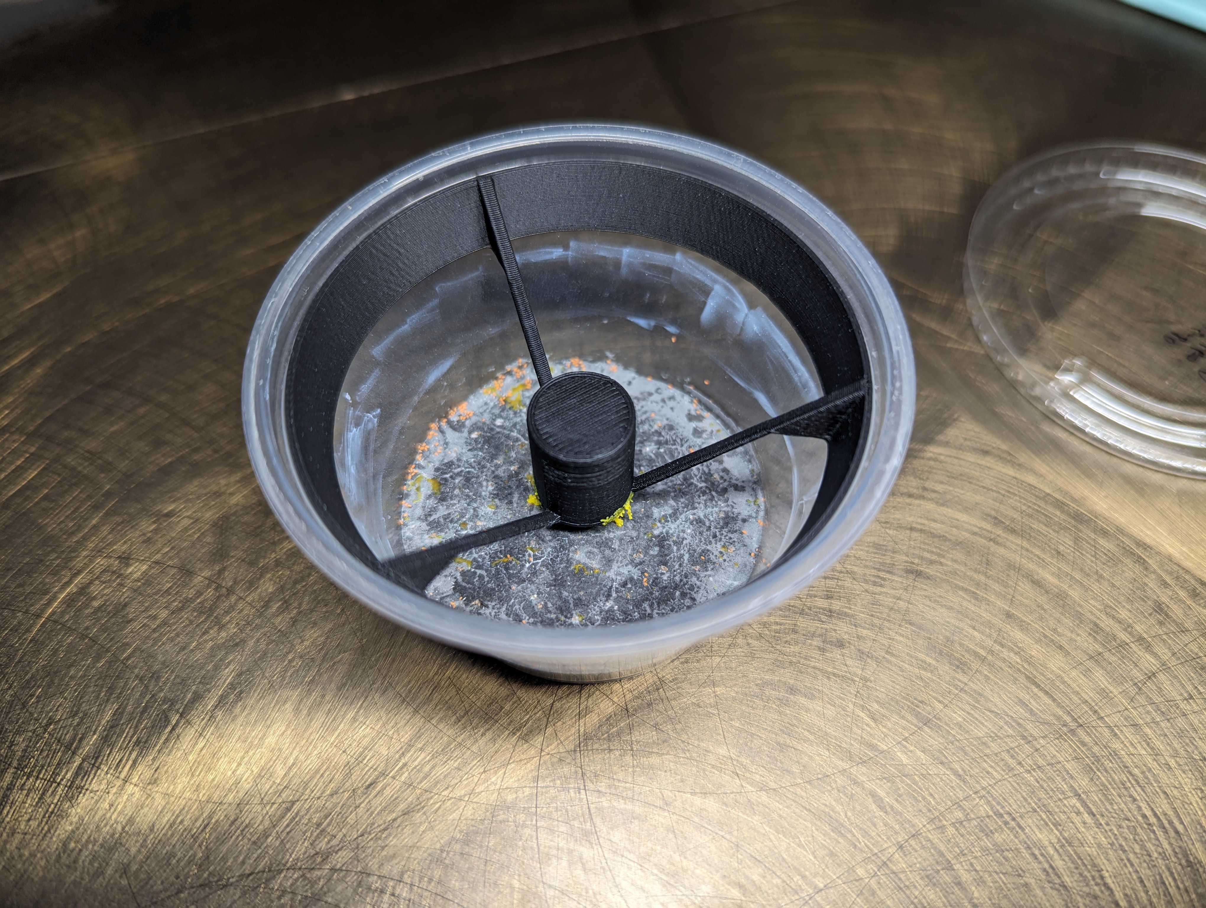 Slime mold feeding capsule for 4oz deli cup