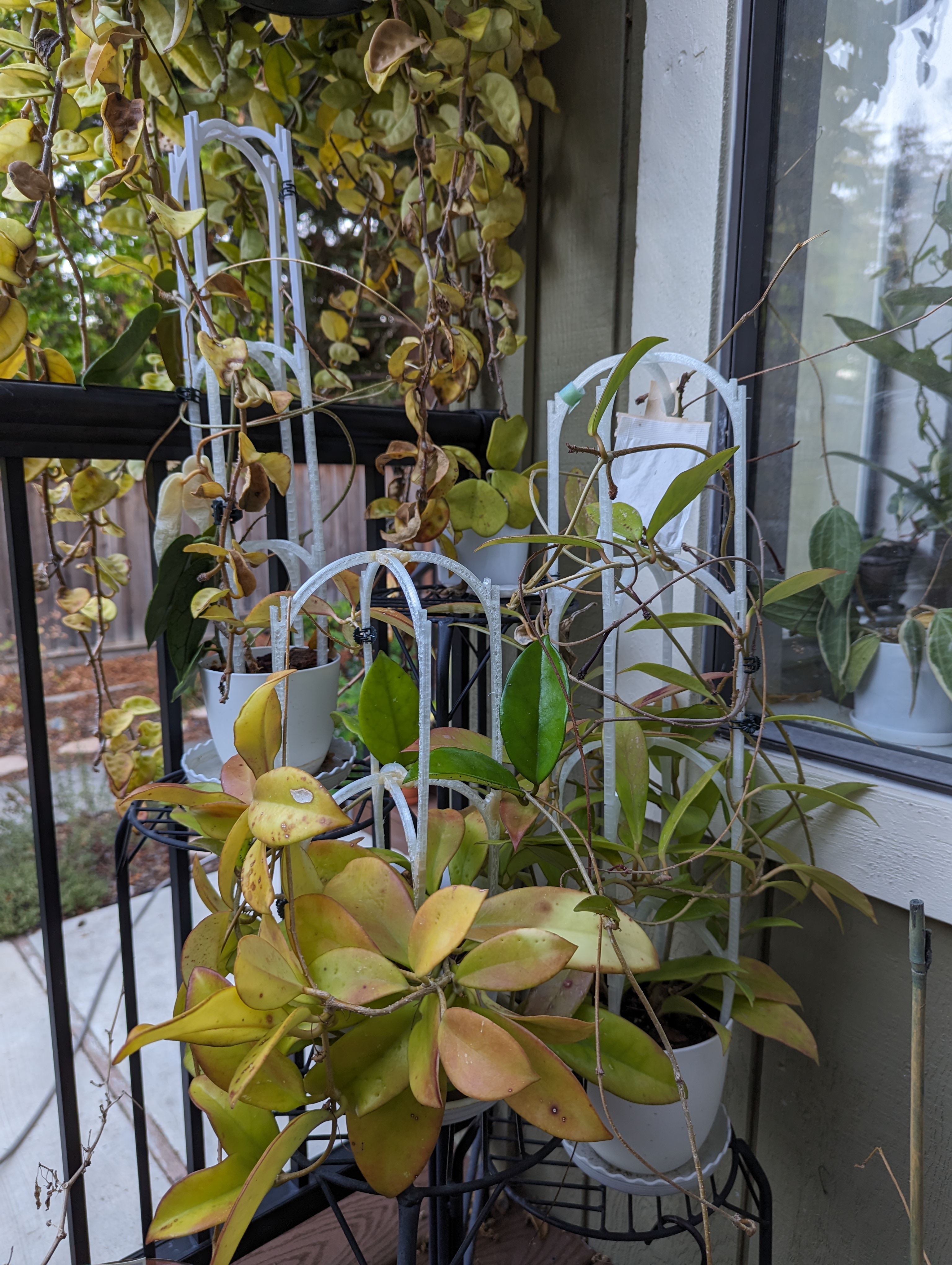 Miniatura 2 do modelo 3D Stackable Plant Trellis (Parametric!)