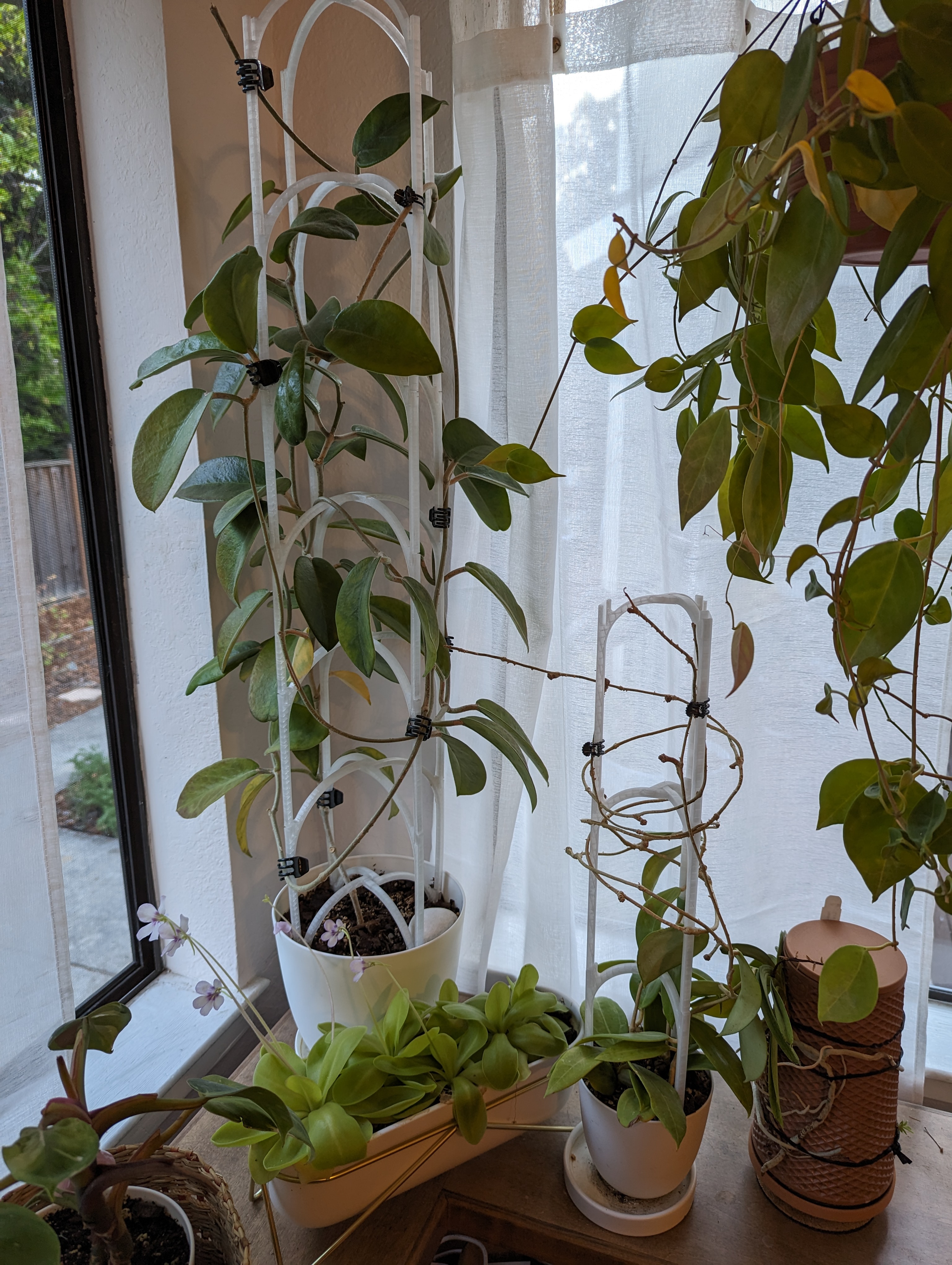 Stackable Plant Trellis (Parametric!)
