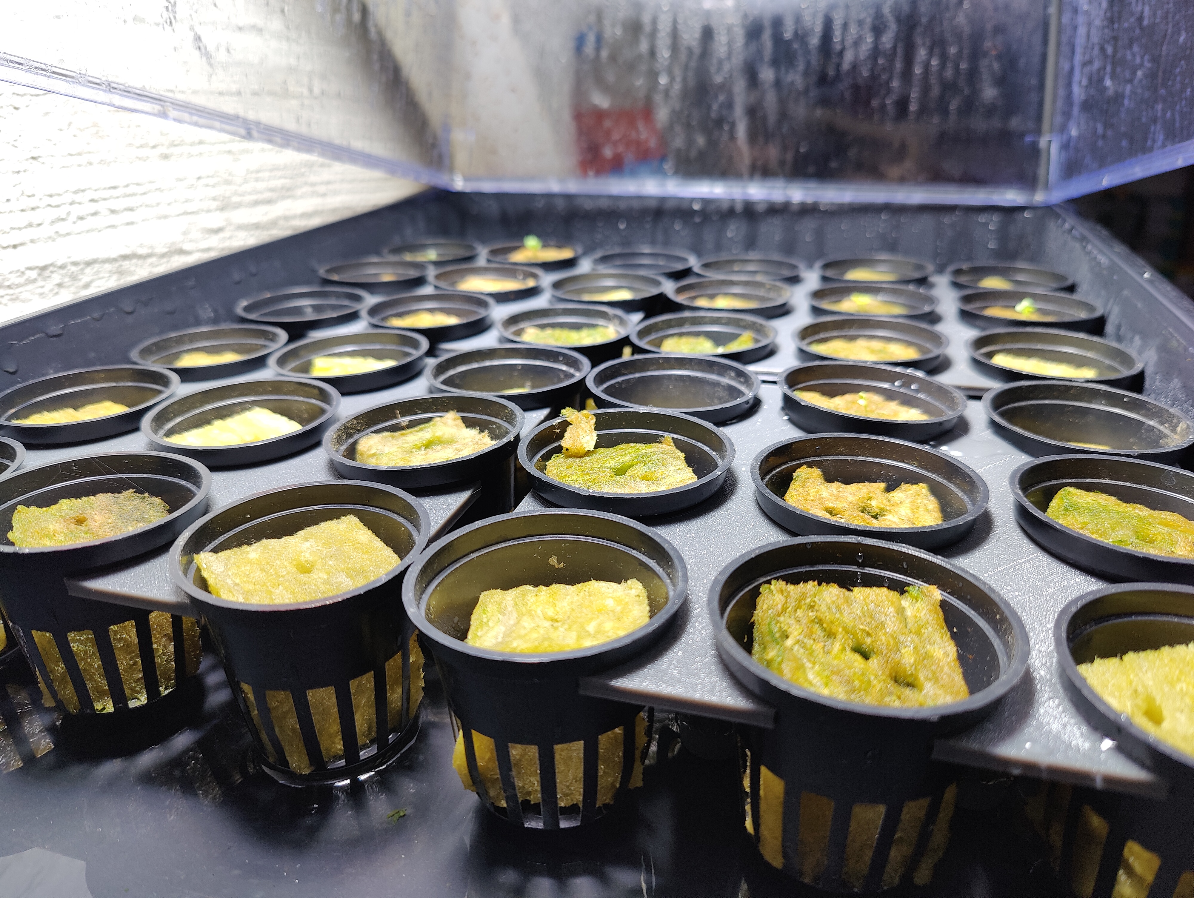 2,5" basket holder for hydroponic growing