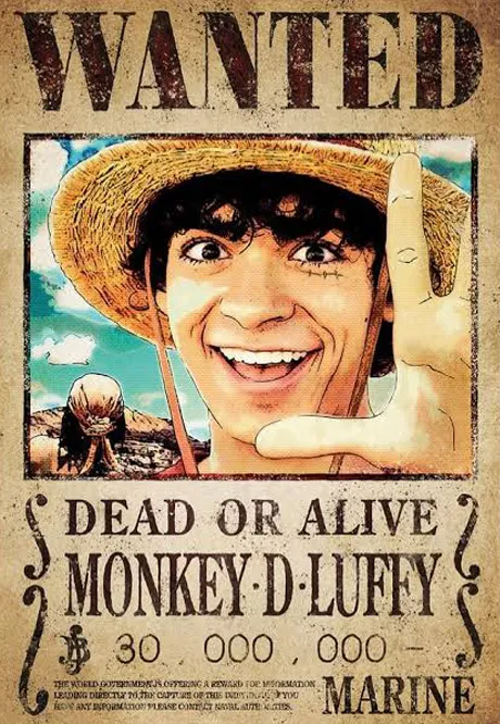 Monkey D. Luffy #4 - One Piece Wanted Posters Collection