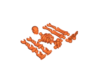 poseable skeleton by Jakub Bulacz | Download free STL model ...