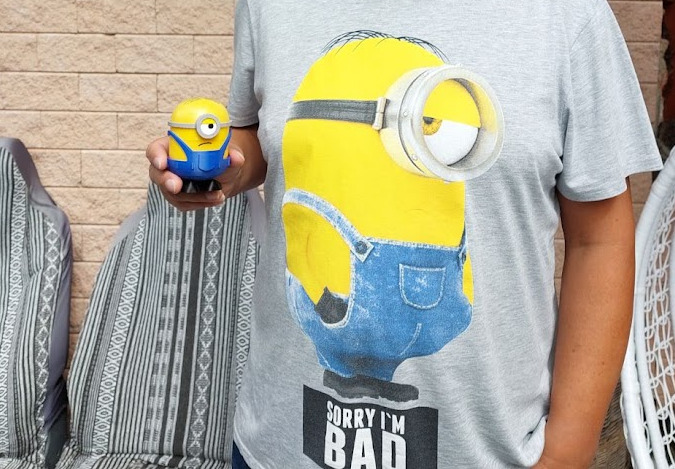 Mimoň (minion)