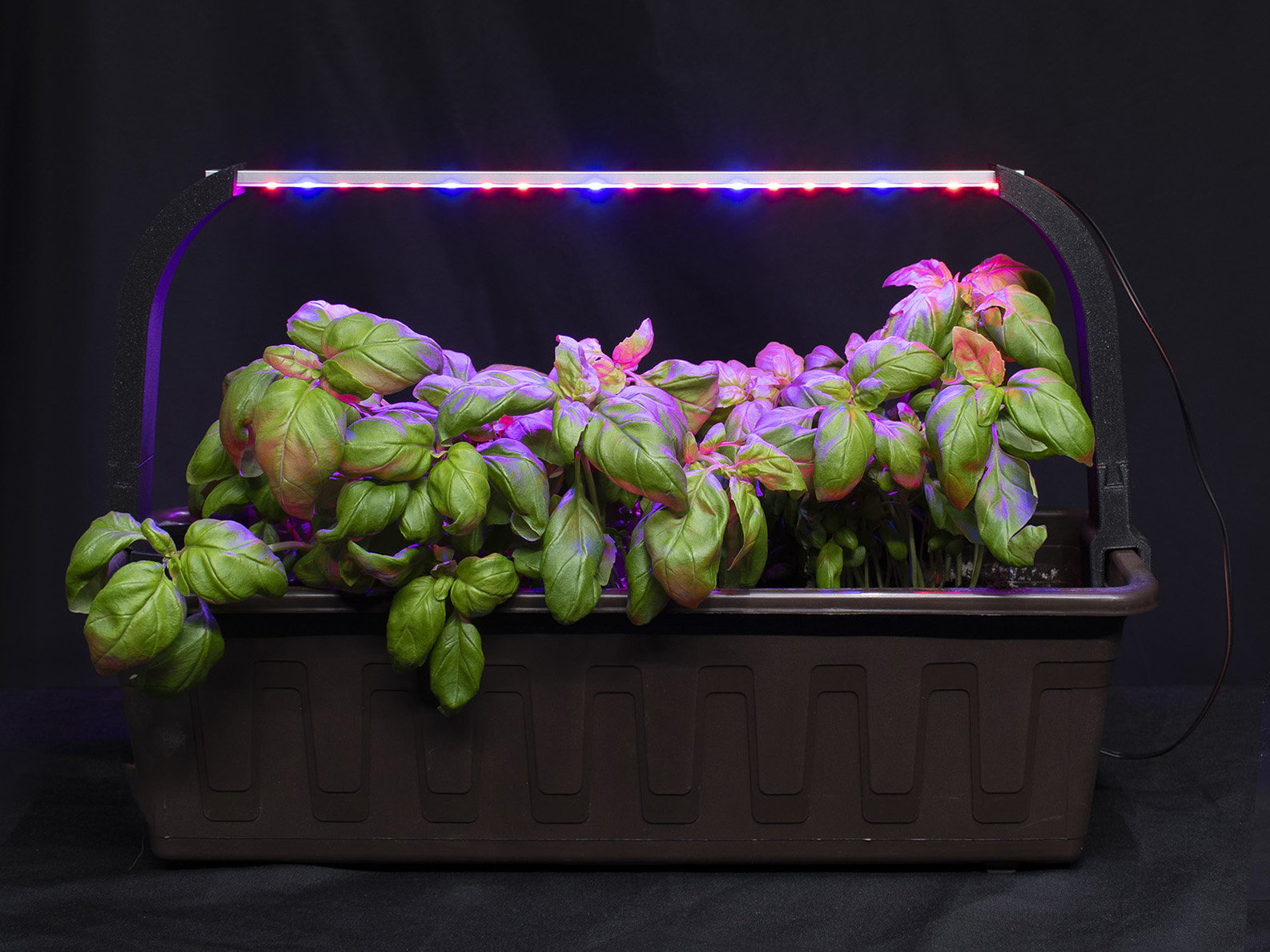 Plant box LED holder (adjustable)