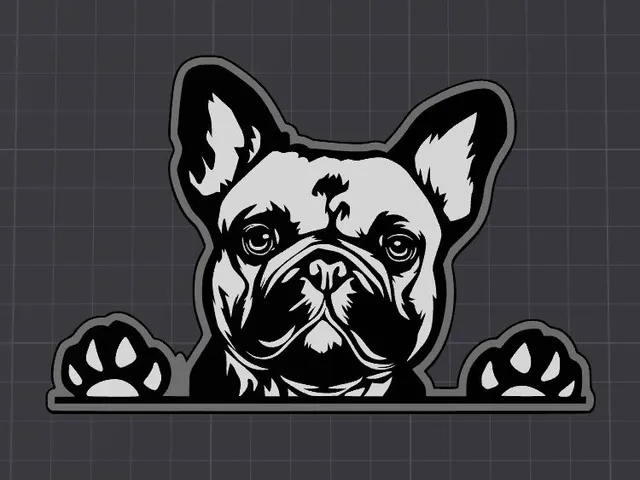 French Bulldog