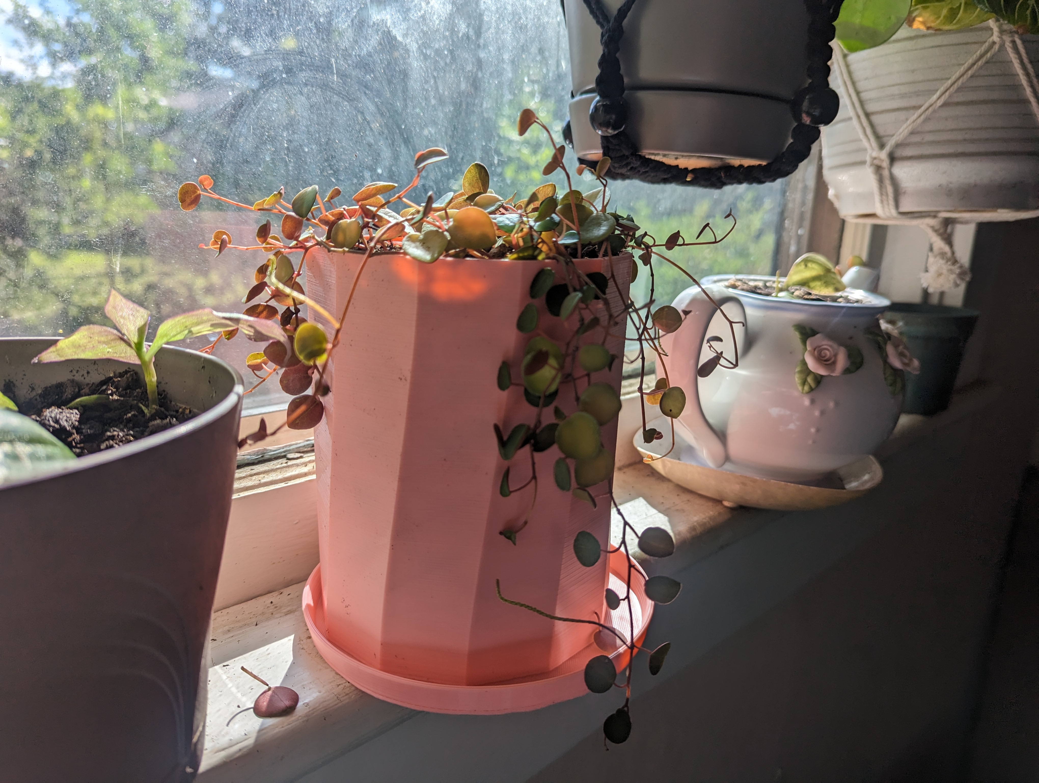 Simple Planter & Drip Tray