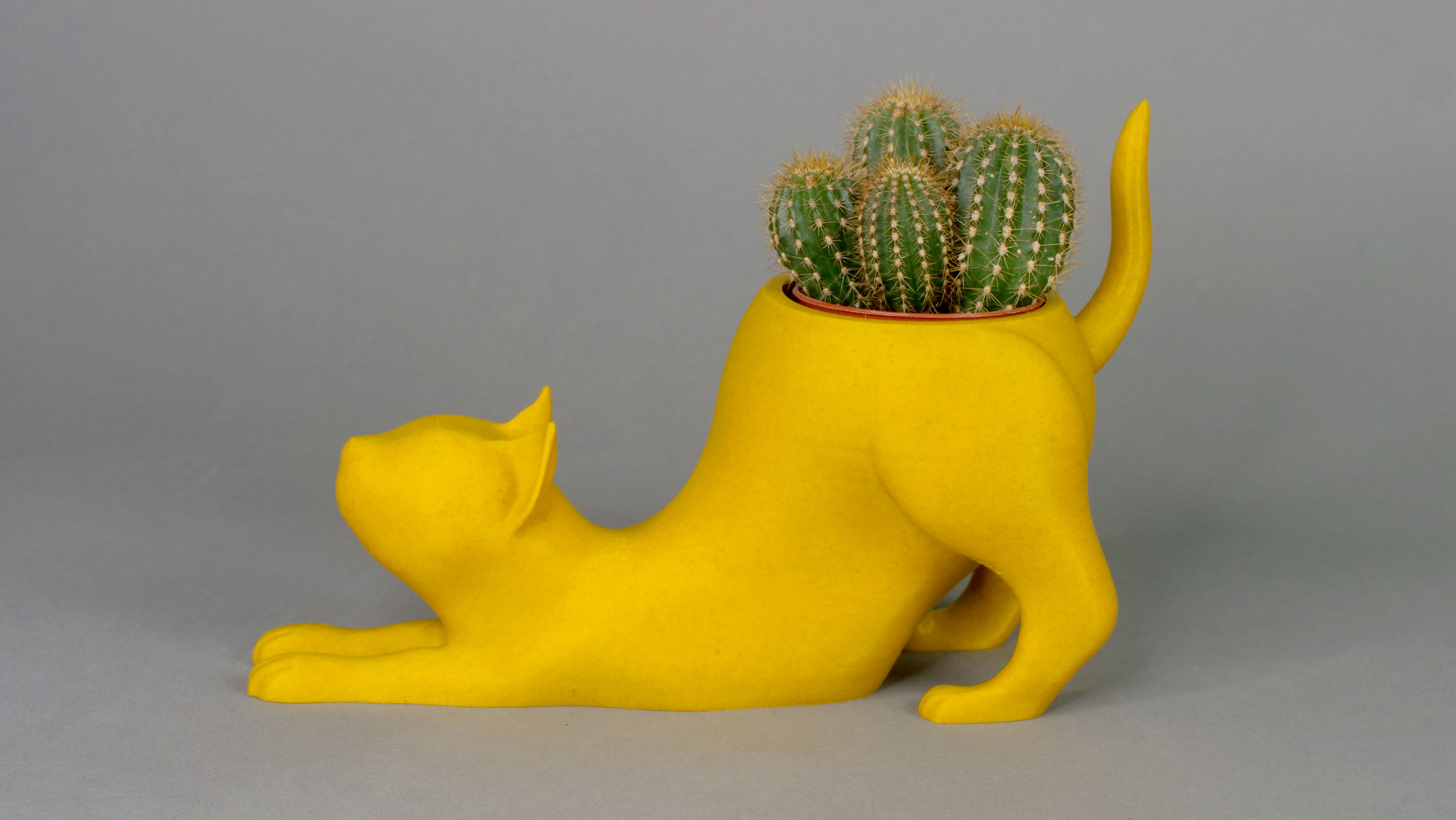 Miniatura 3 do modelo 3D Cat Pot Collection