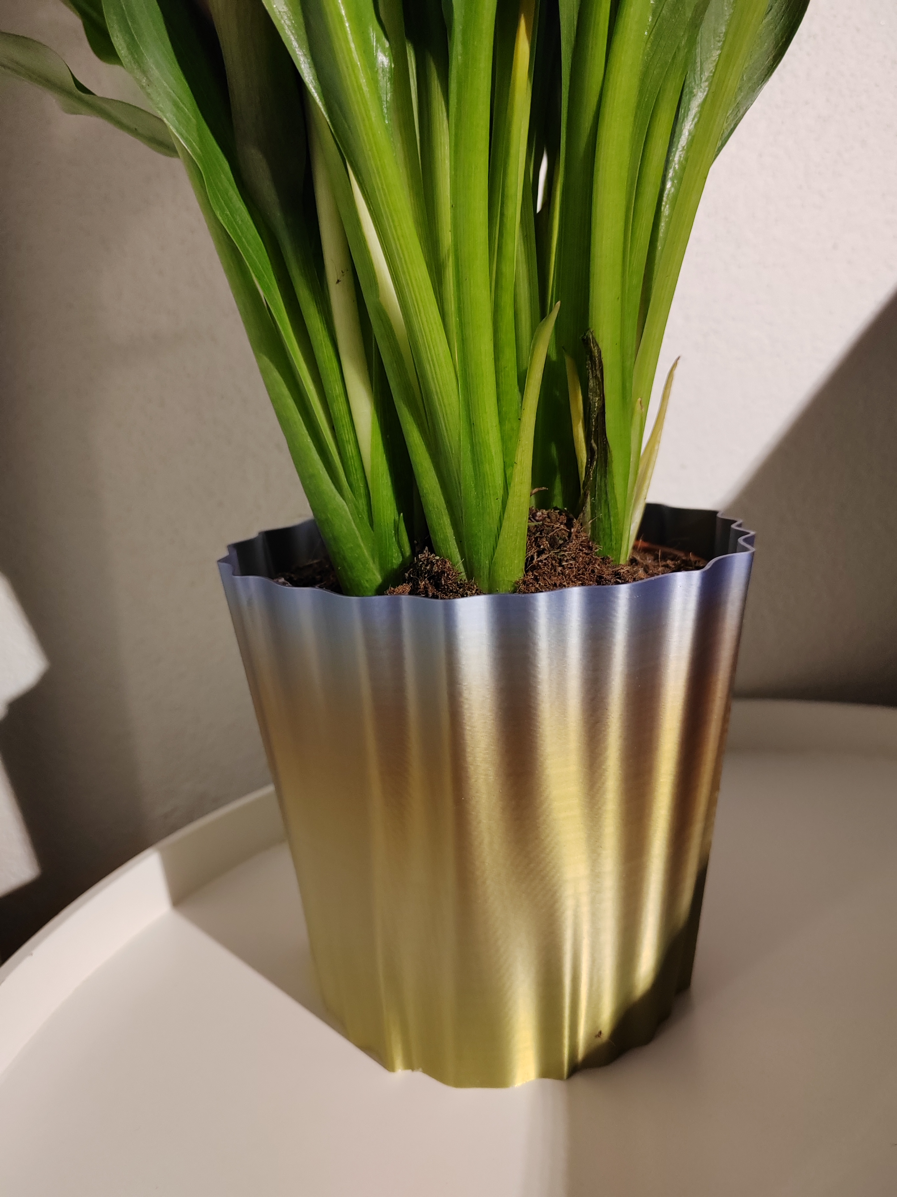 Design flower pot