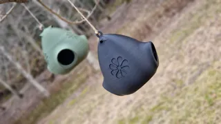 Dual-Port Bird Feeder