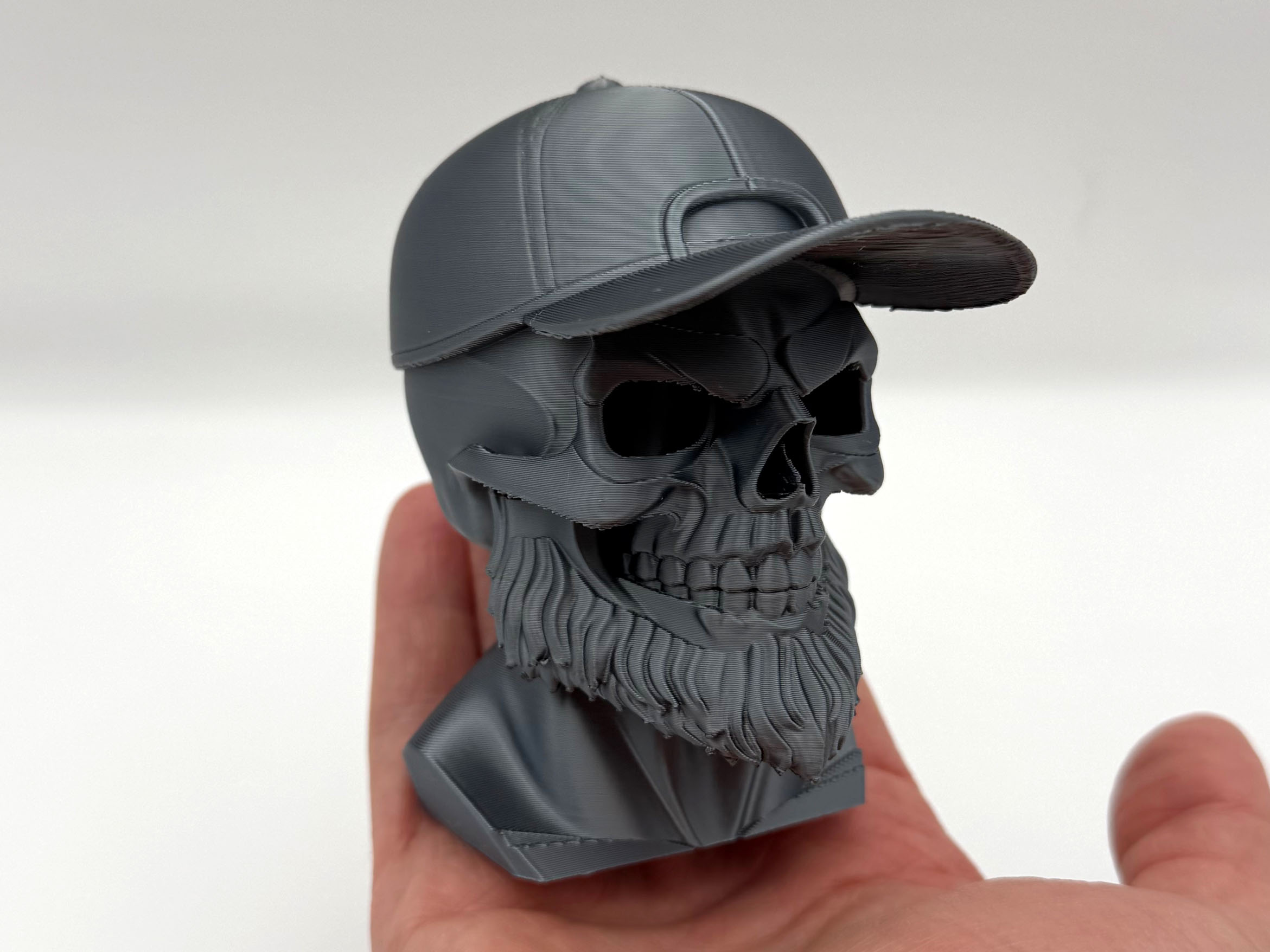 Beard Skull Bust