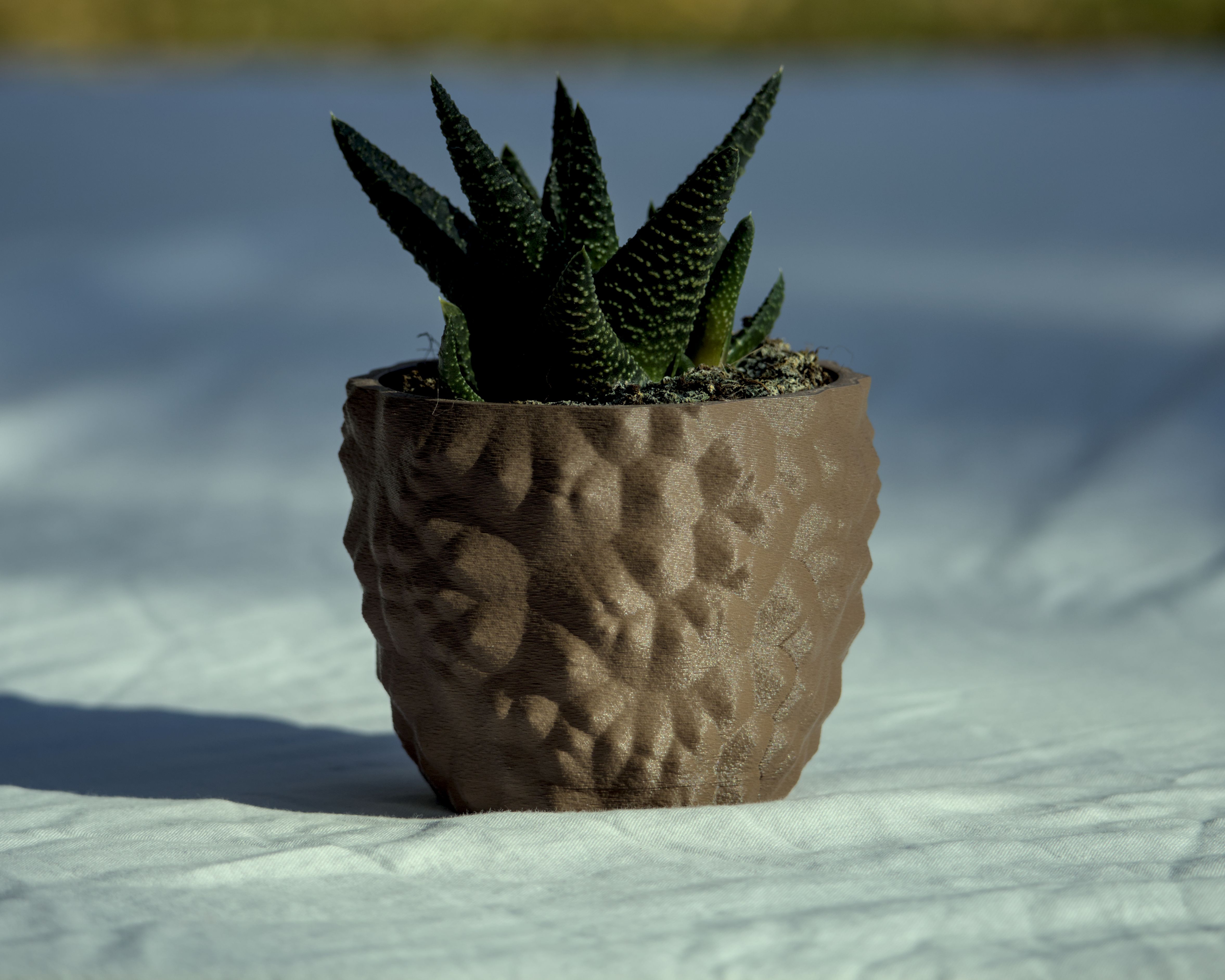 Lasse pot