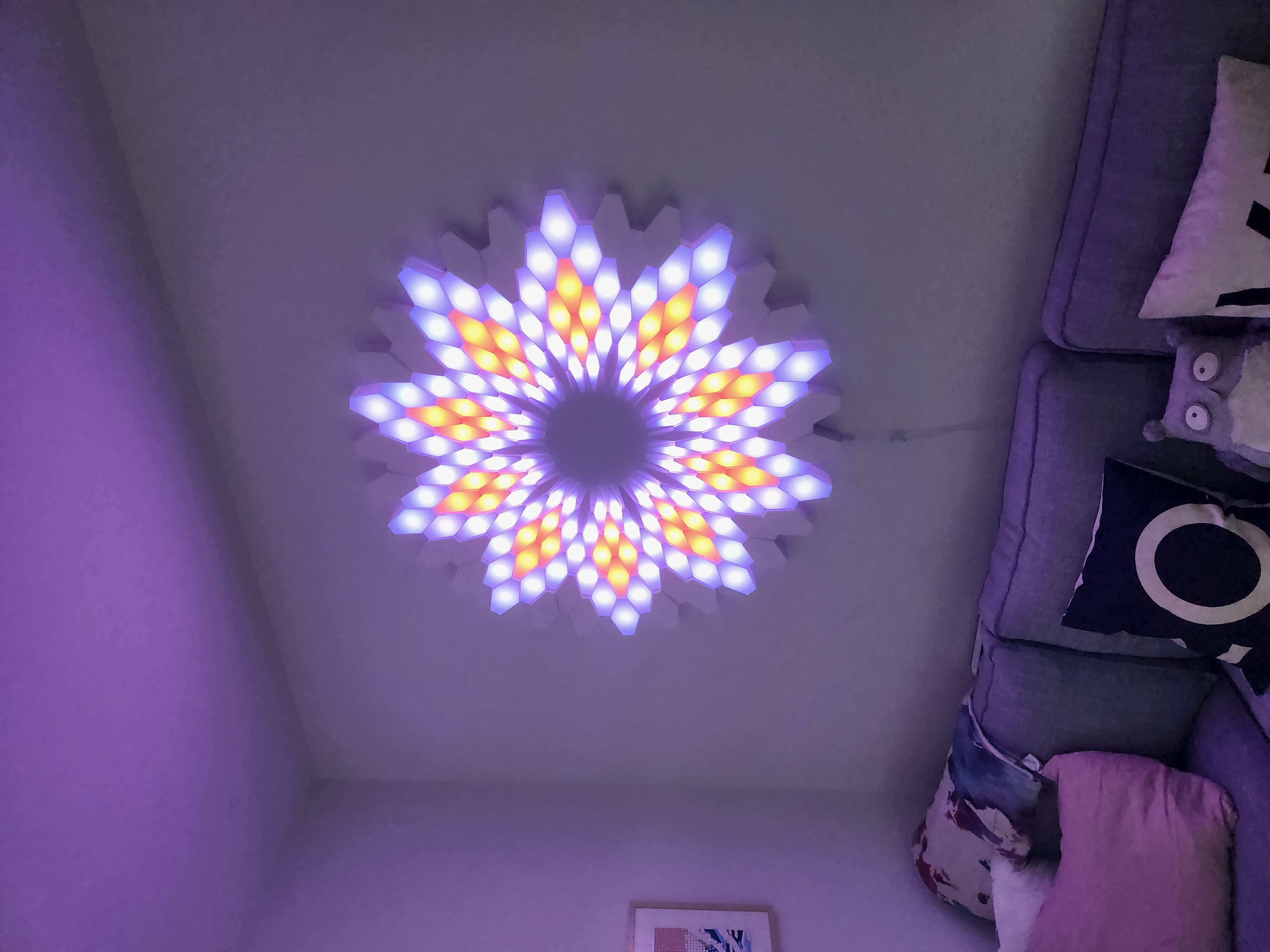 Lotus: 3D LED Wall Art