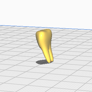 Miniatura 3 do modelo 3D HUMAN TOOTH MODEL