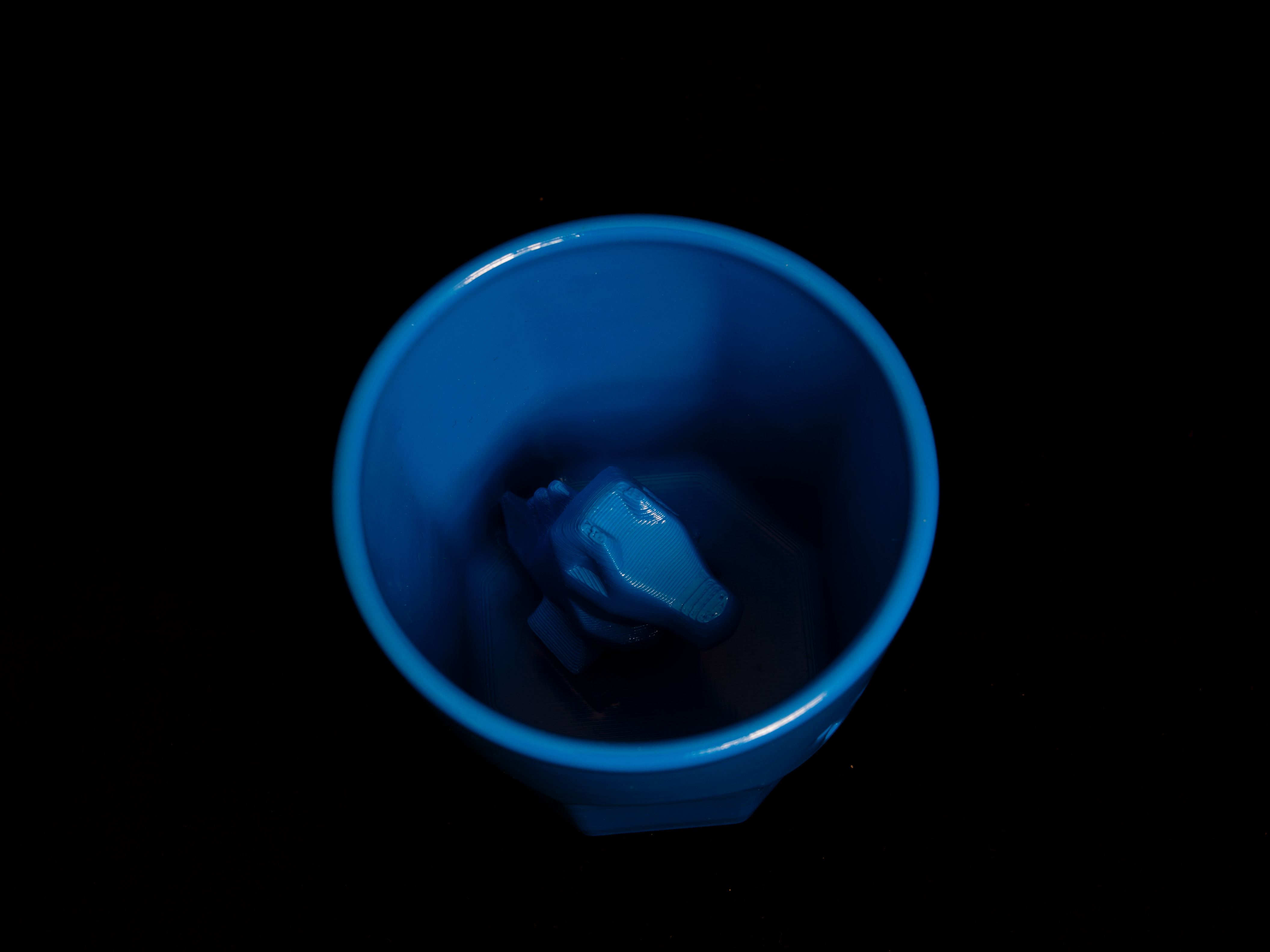 Totodile hiding in a Octaglass 3D model thumbnail