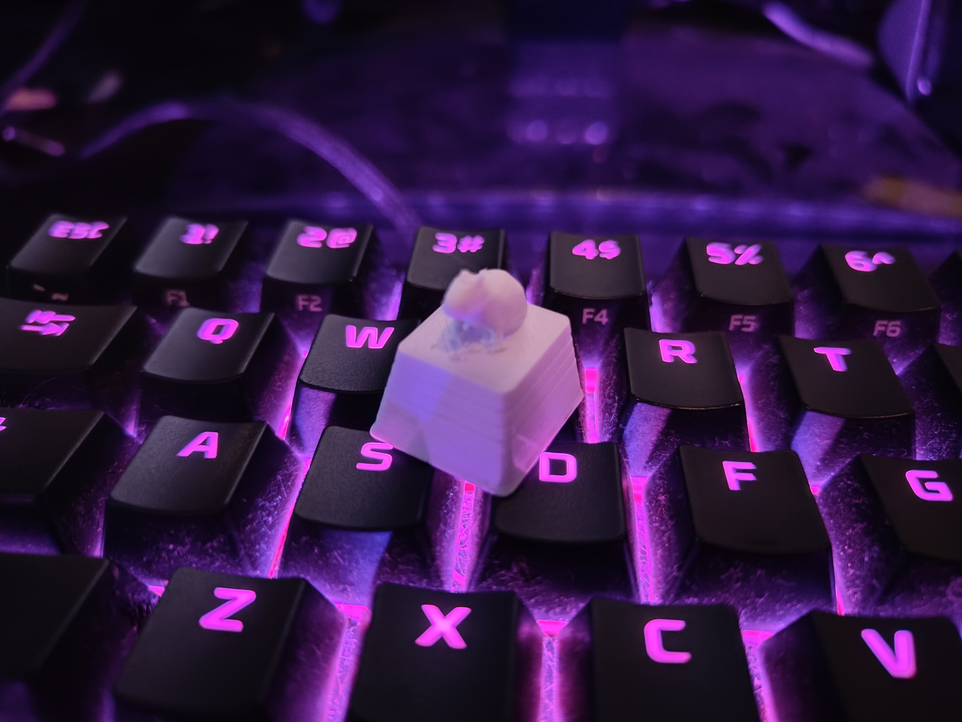 Capybara keycap