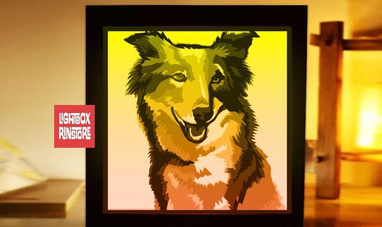 border collie lightbox