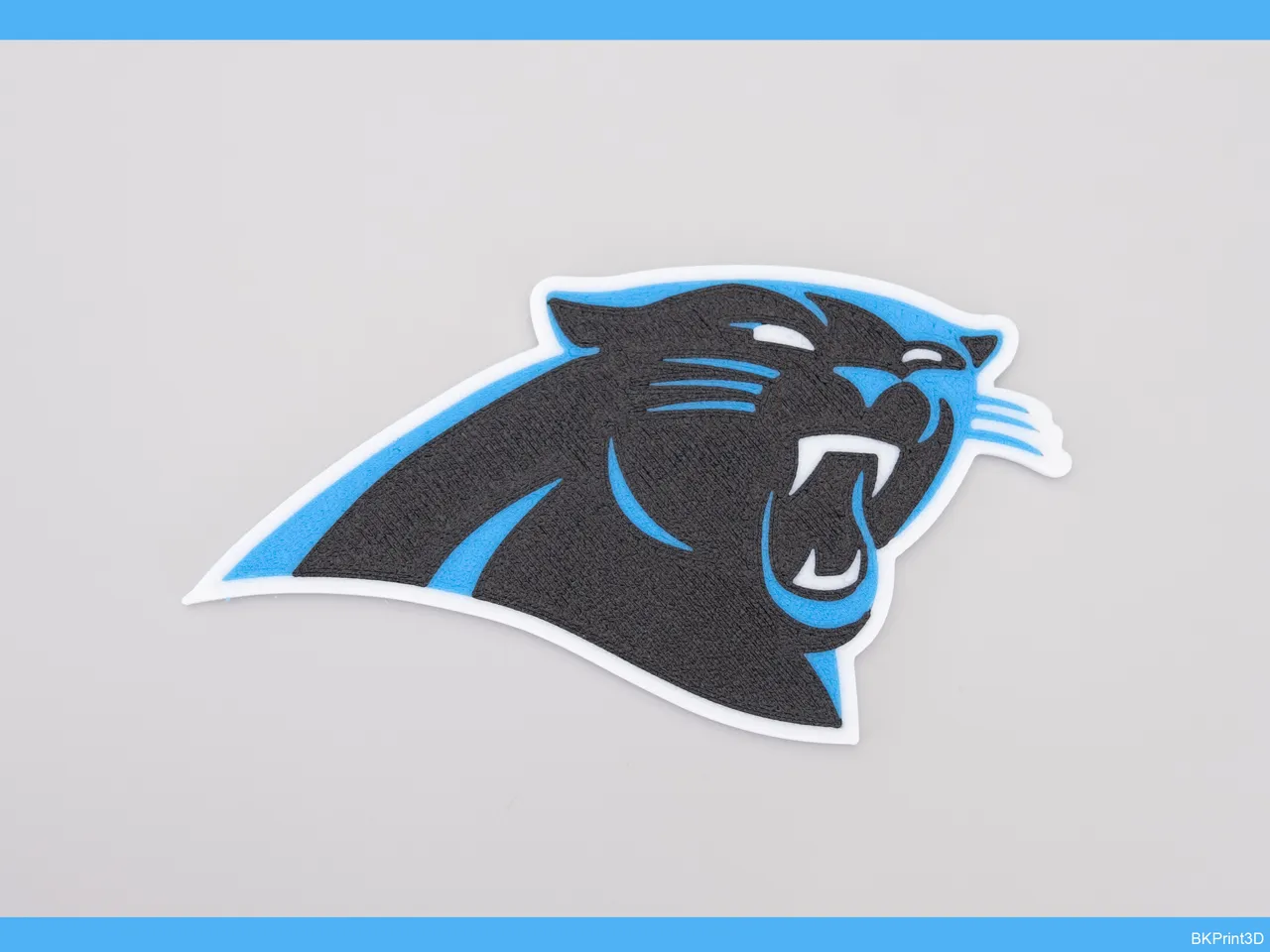 Carolina Panthers Color Emblem