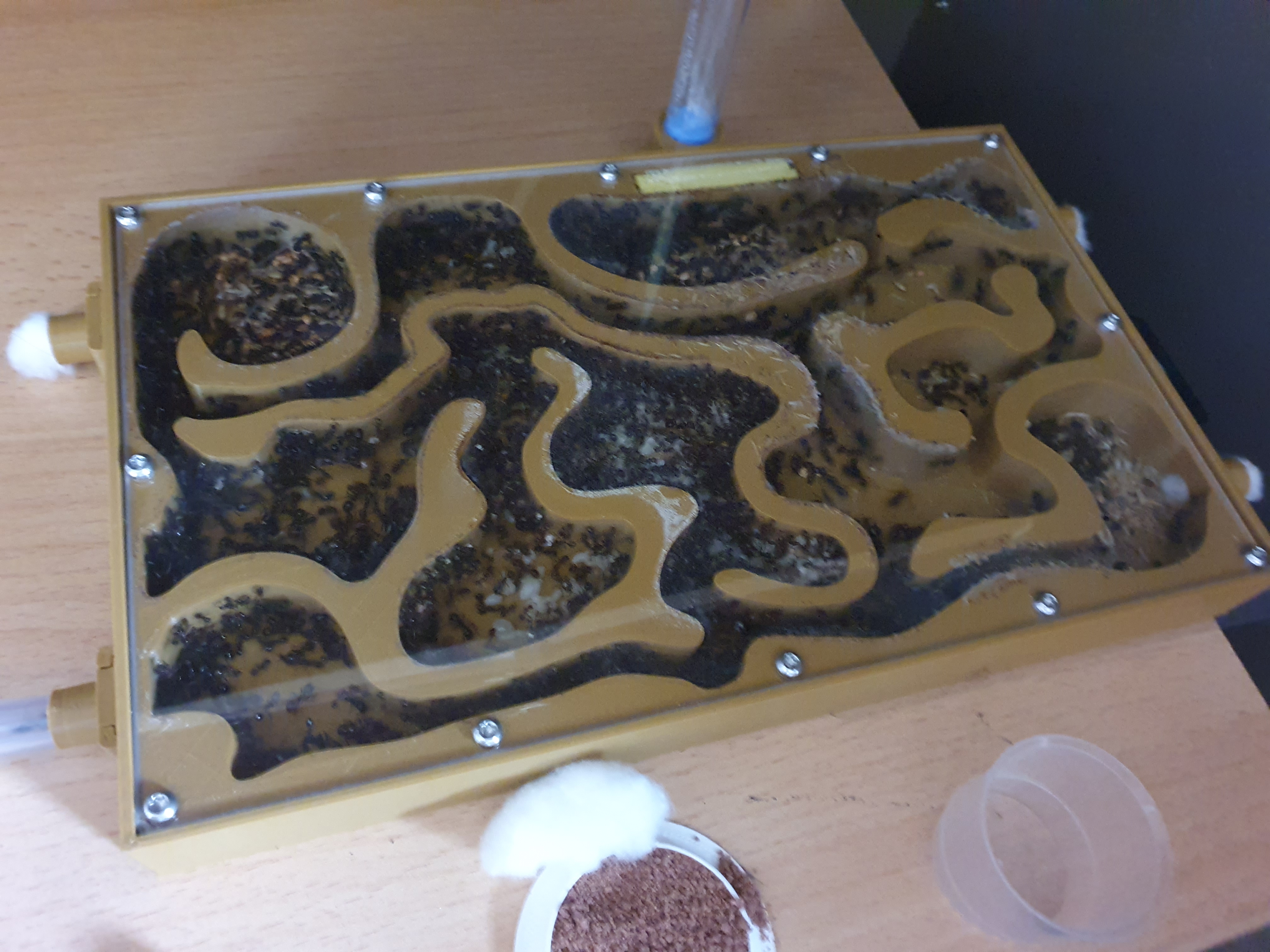 Formicarium Rectangle XL — miniatura 2