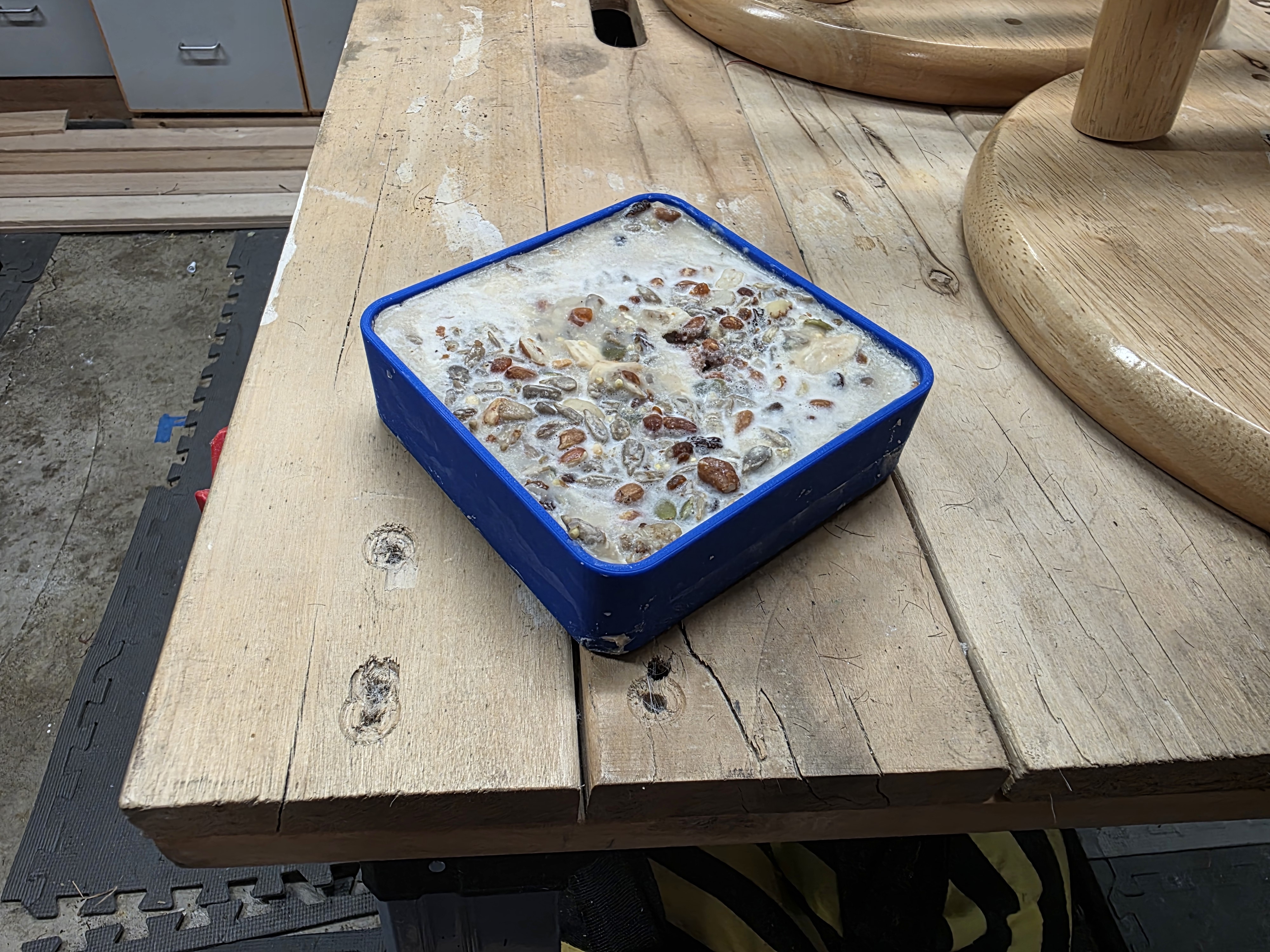 Suet Bird Food Seed Square Mold
