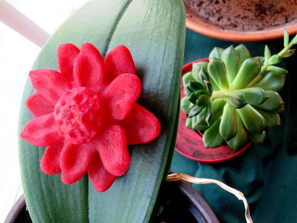 Floating Flower