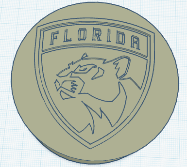 Florida panthers puck