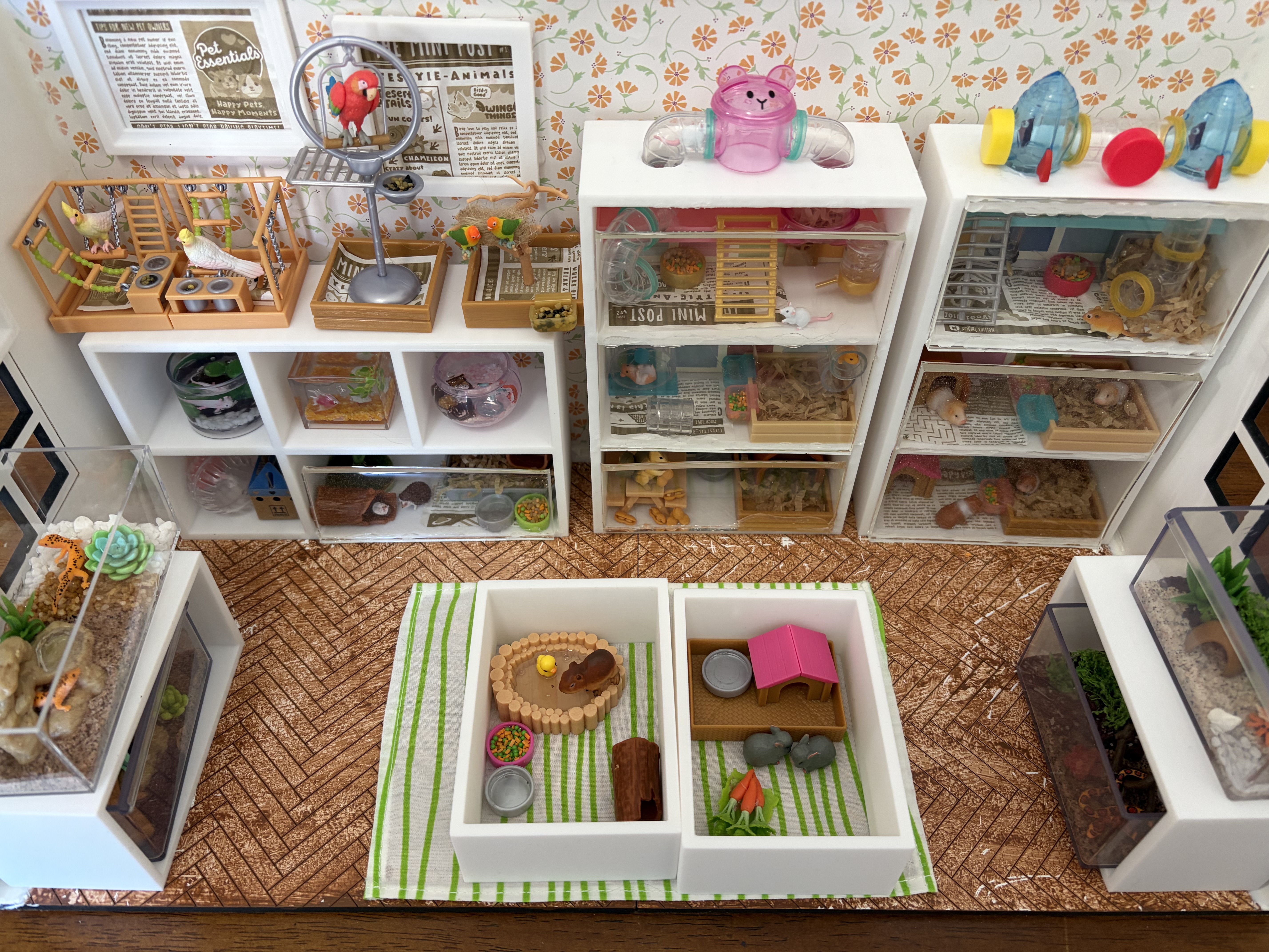 Miniature Pet Shop Shelves