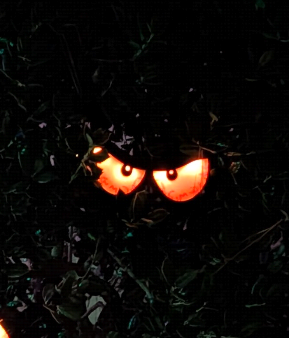 Spooky Eyes Halloween Decoration