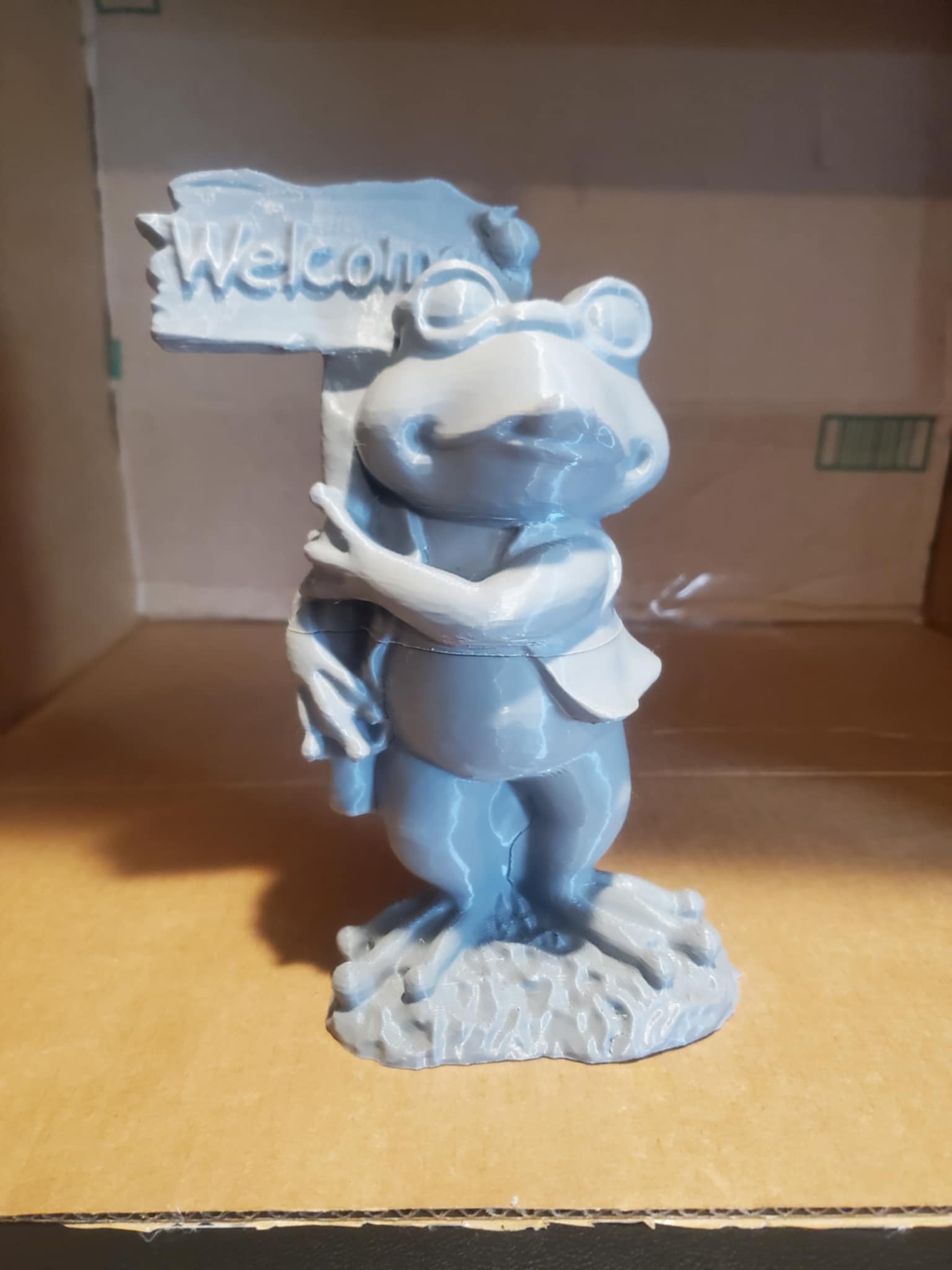 Welcome Toad