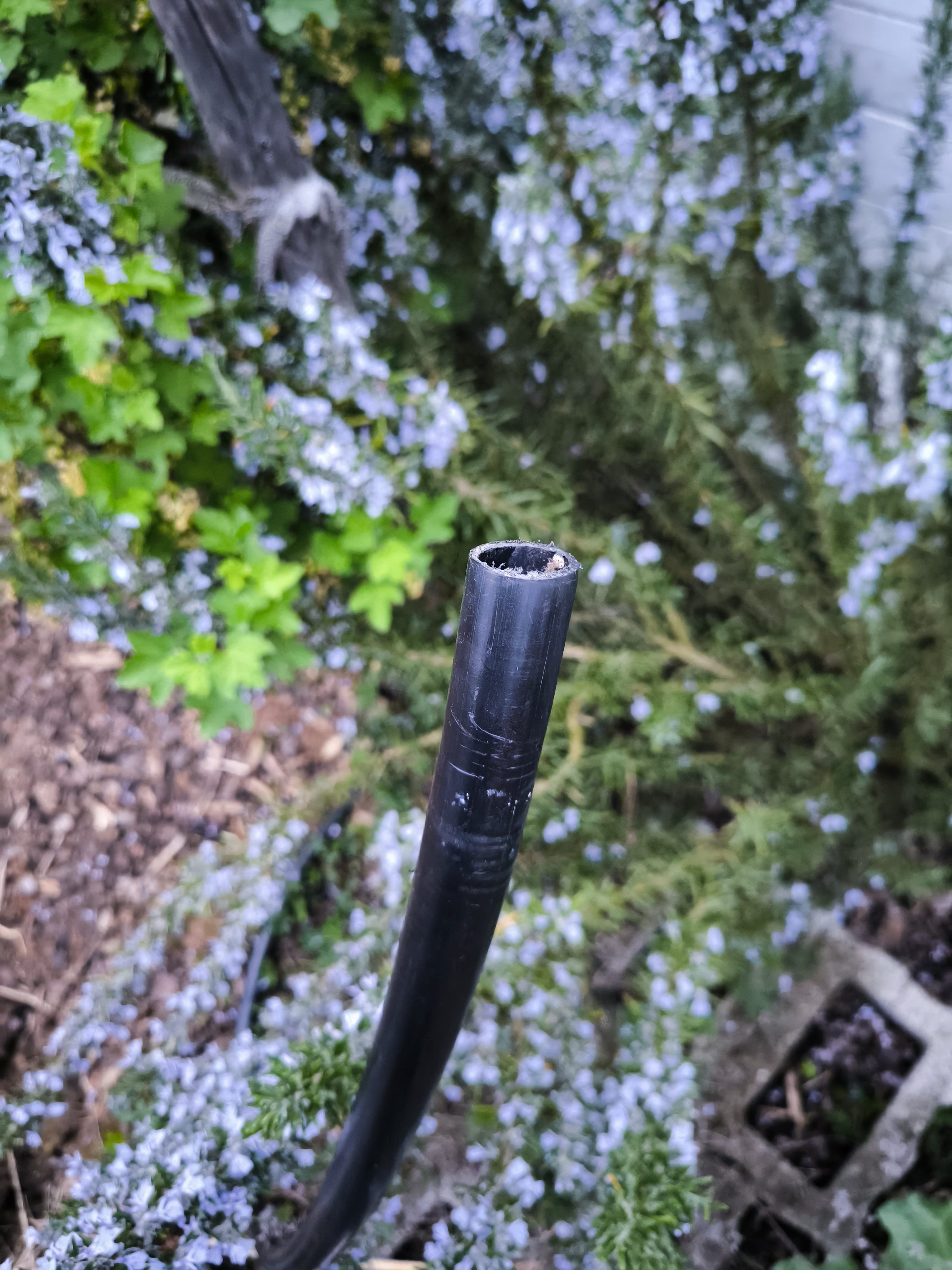 Verschlussstopfen 25 mm — thumbnail 2