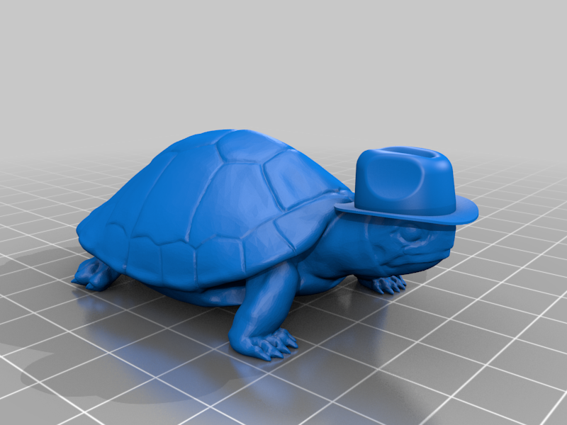 Turtle wearing a Fedora