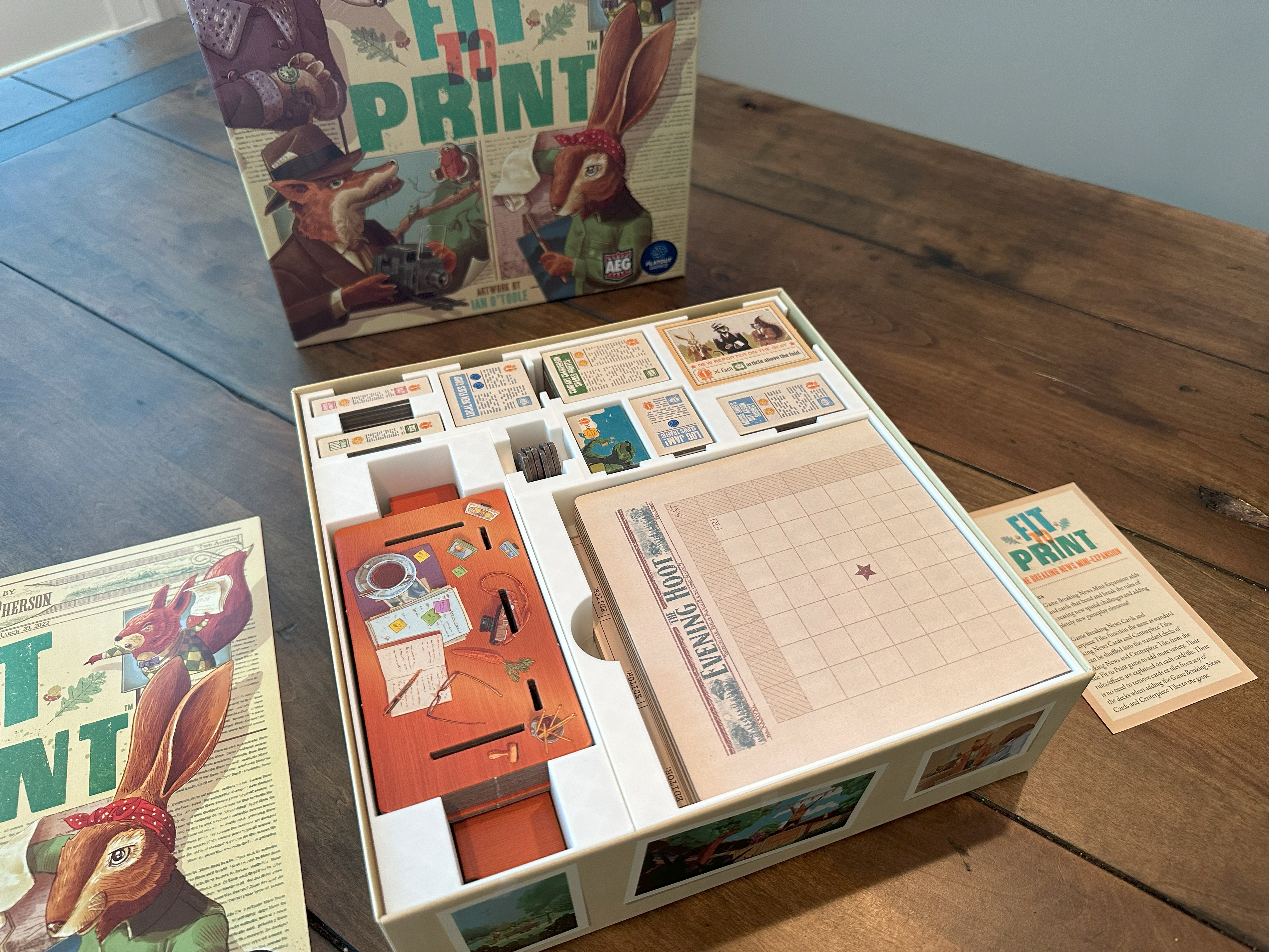 Fit to Print Insert (Remix)