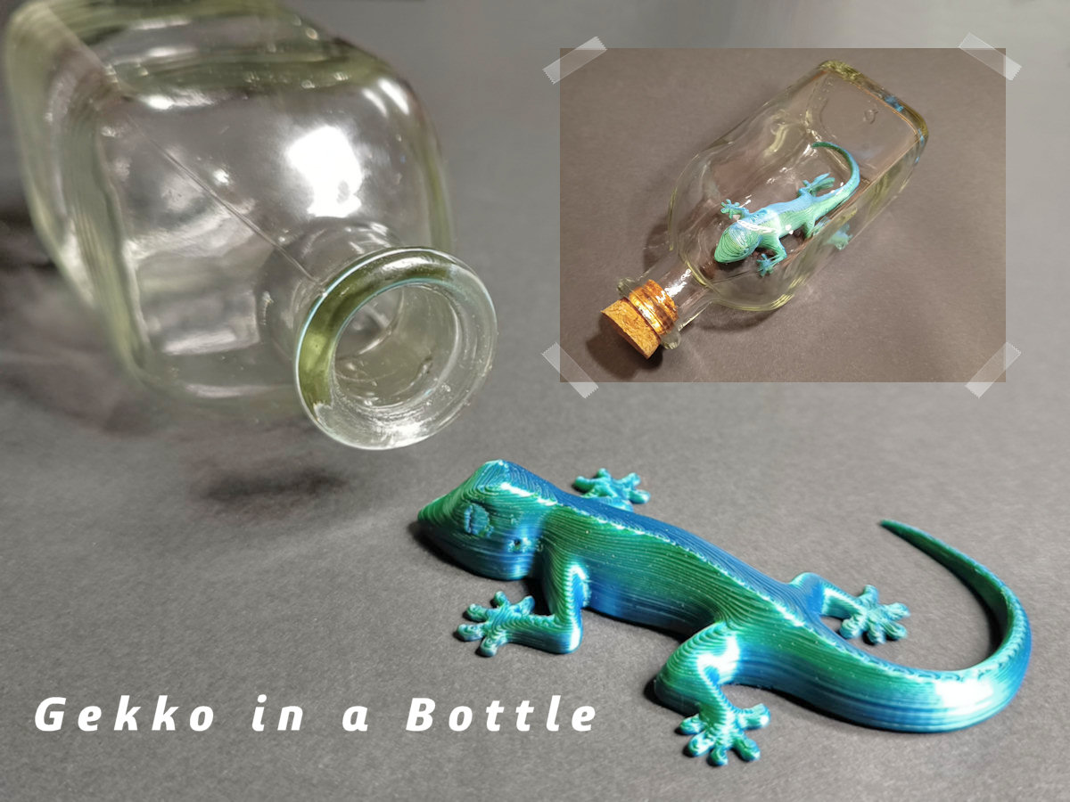 Message in a Bottle (Brain Teaser) by Wim V Download free STL model