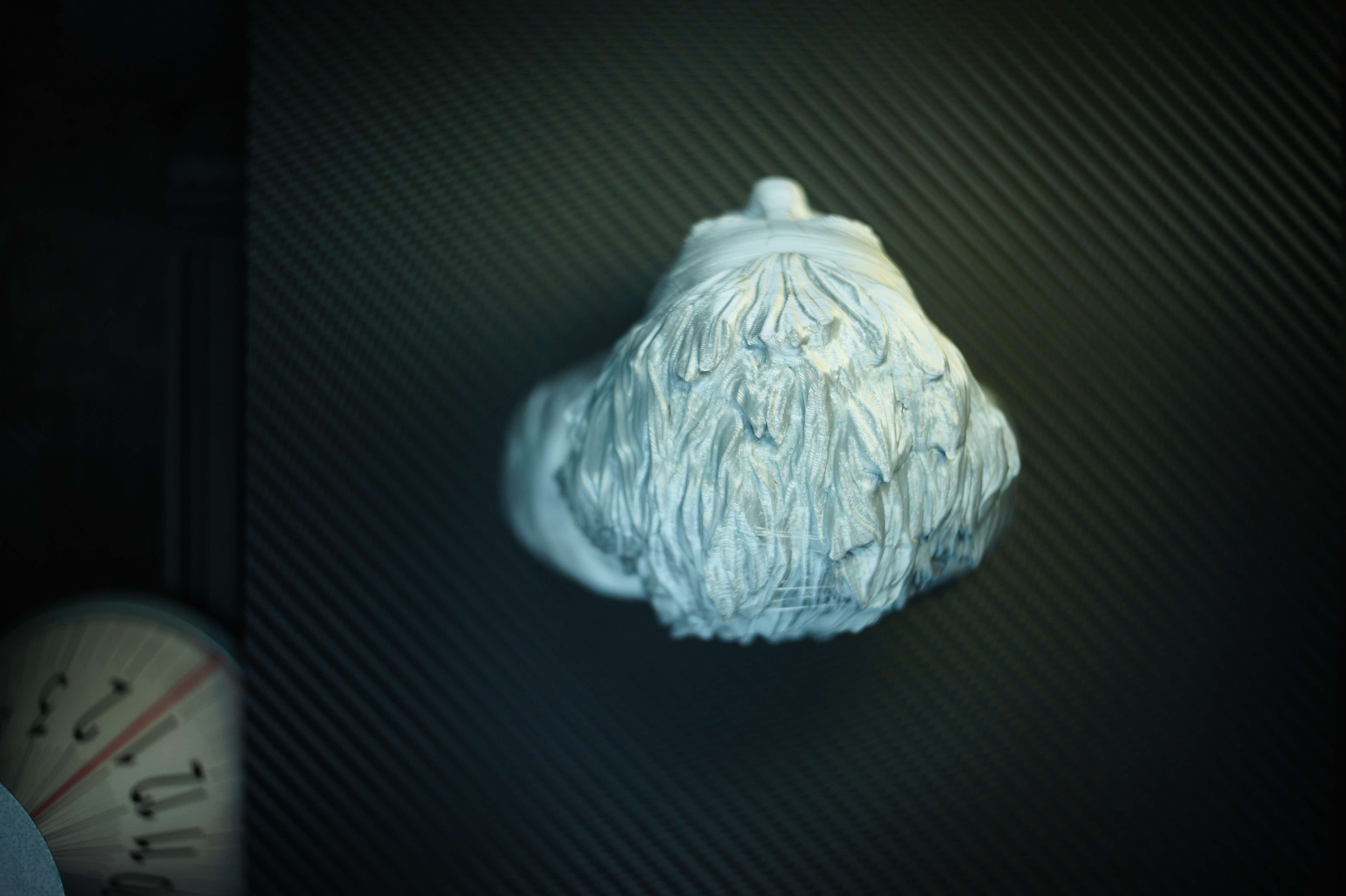 Miniatura 7 do modelo 3D Albert Einstein Support Free