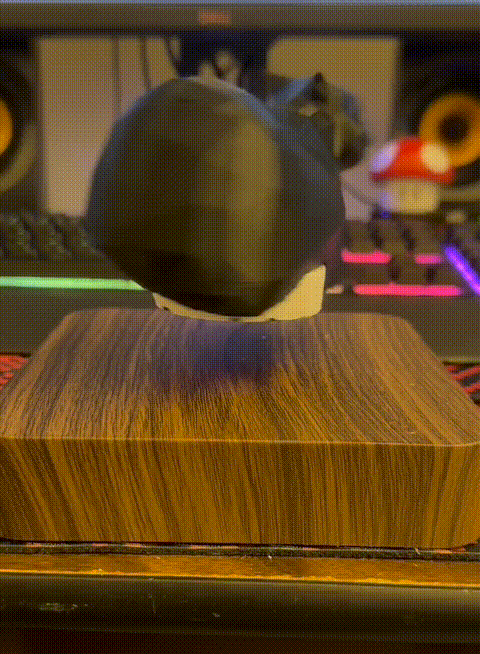 Floating Maxwell the Cat - Bambu AMS Enabled