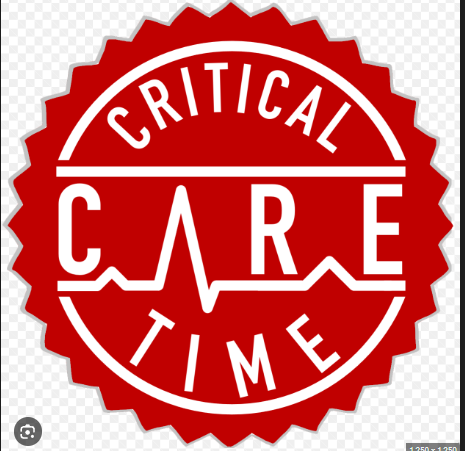 Critical Care Time Logo