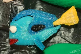 Dori Fish ColorSplit REMIX