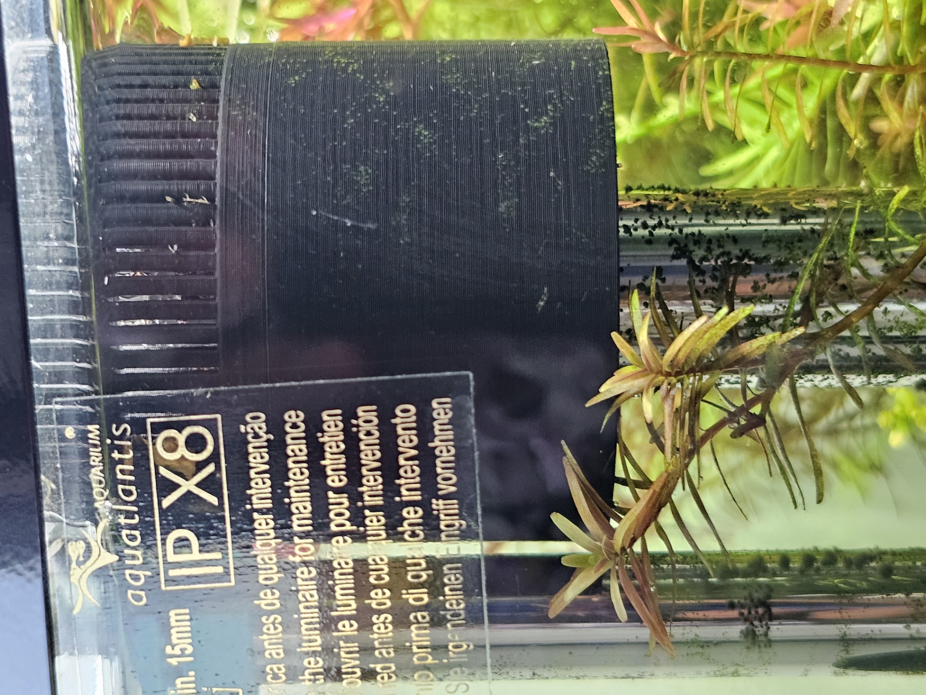 Aquarium Oberflächenkimmer mit Garnelenschutz/ Surface Skimmer with