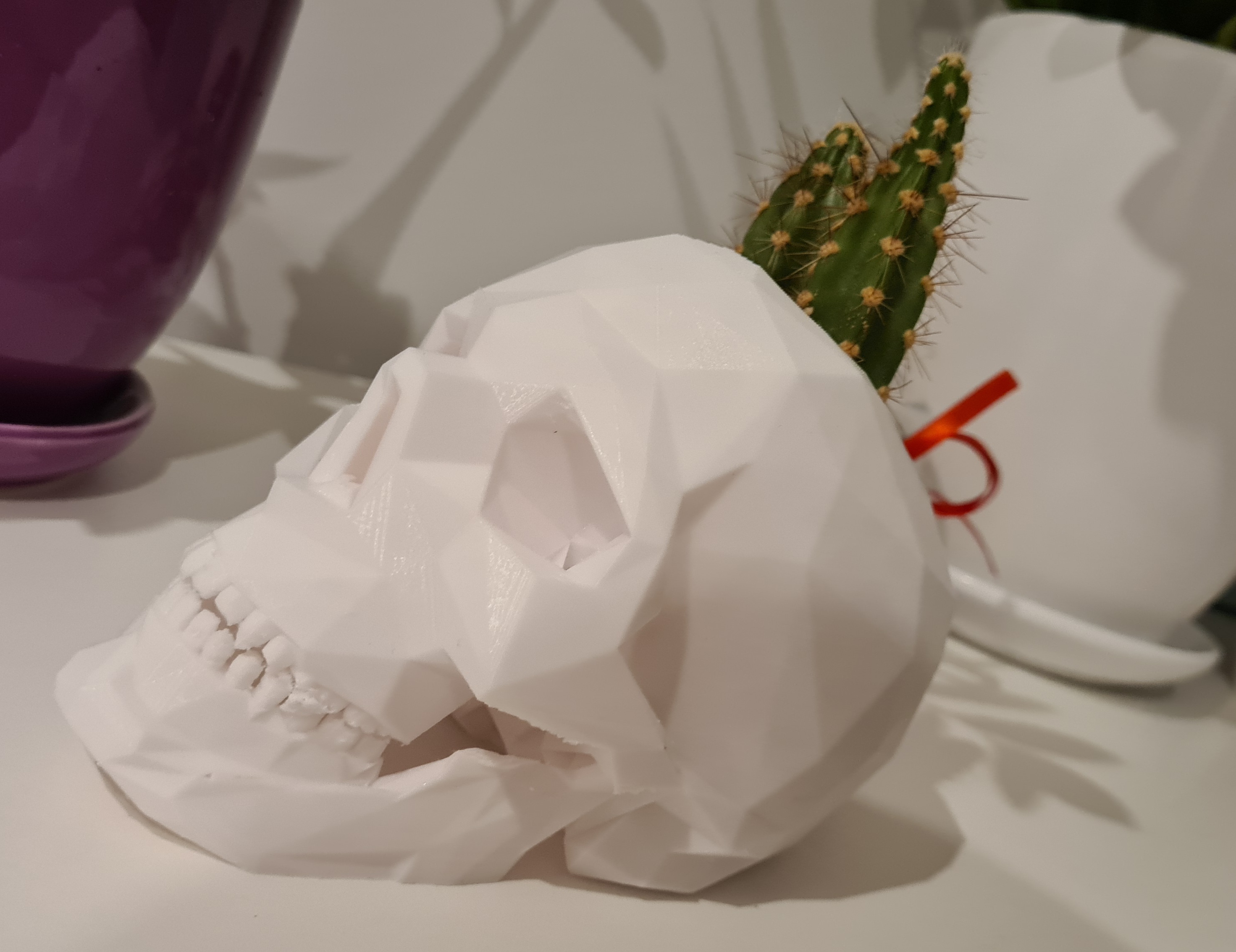 Miniatura 3 do modelo 3D Skull - succulent pot