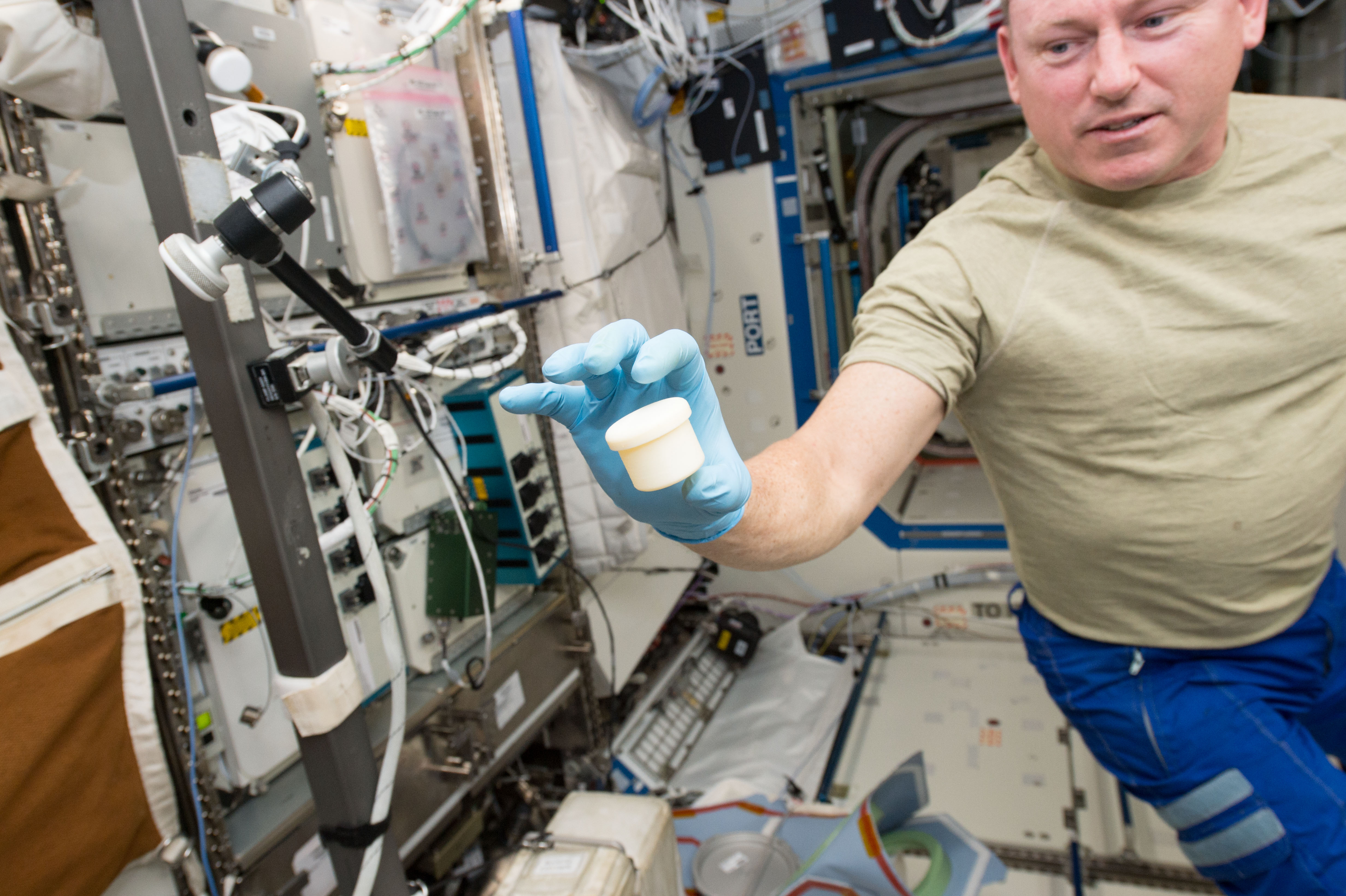 Container From Space International Space Station Container (Made In Space) von LayerZed ...