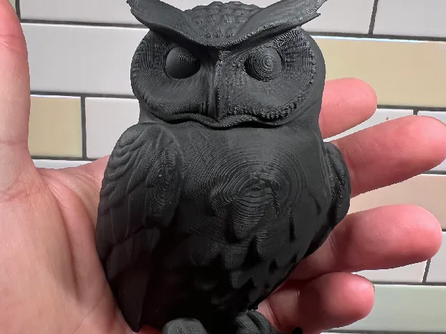 Flat backed owl